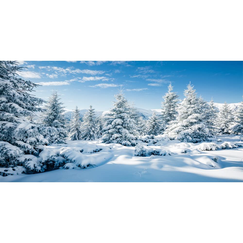Amazon.com, CSFOTO 20x10ft Winter Scene Photo Backdrop Winter Mountain Backdrop Banner Winter Landscape Christmas Tree Backdrop Frozen Photo Backdrop Winter Wonderland Backdrop Kids Adults Photo Wallpaper