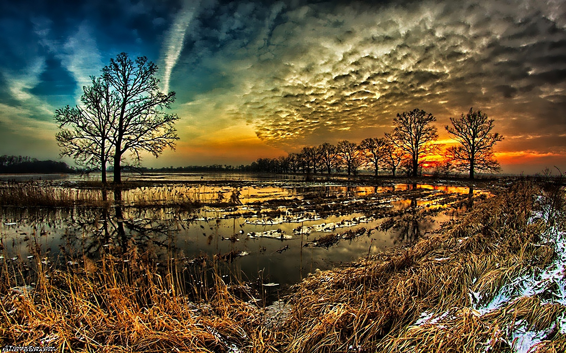 Early Winter Wallpaper