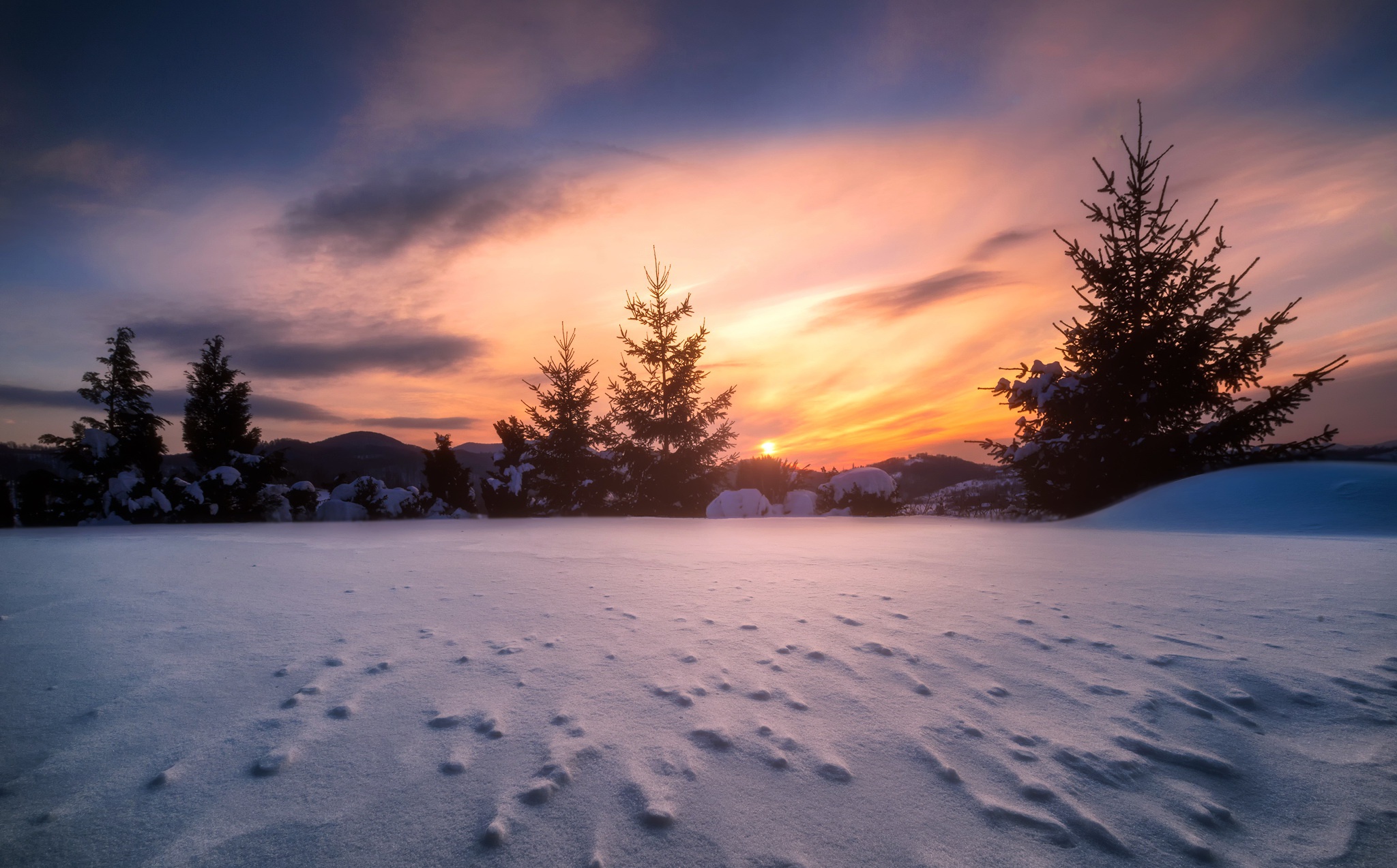 dark, Winter, Snow, Trees, Sunlight, Nature Wallpaper HD / Desktop and Mobile Background