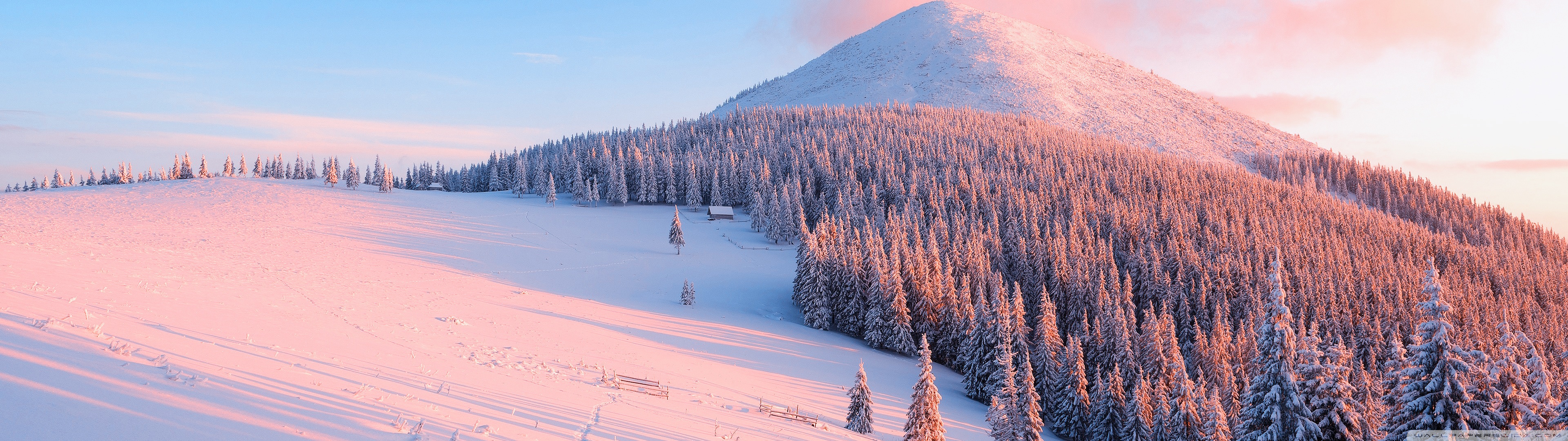 Winter, Nature Ultra HD Desktop Background Wallpaper for: Widescreen & UltraWide Desktop & Laptop, Multi Display, Dual Monitor, Tablet