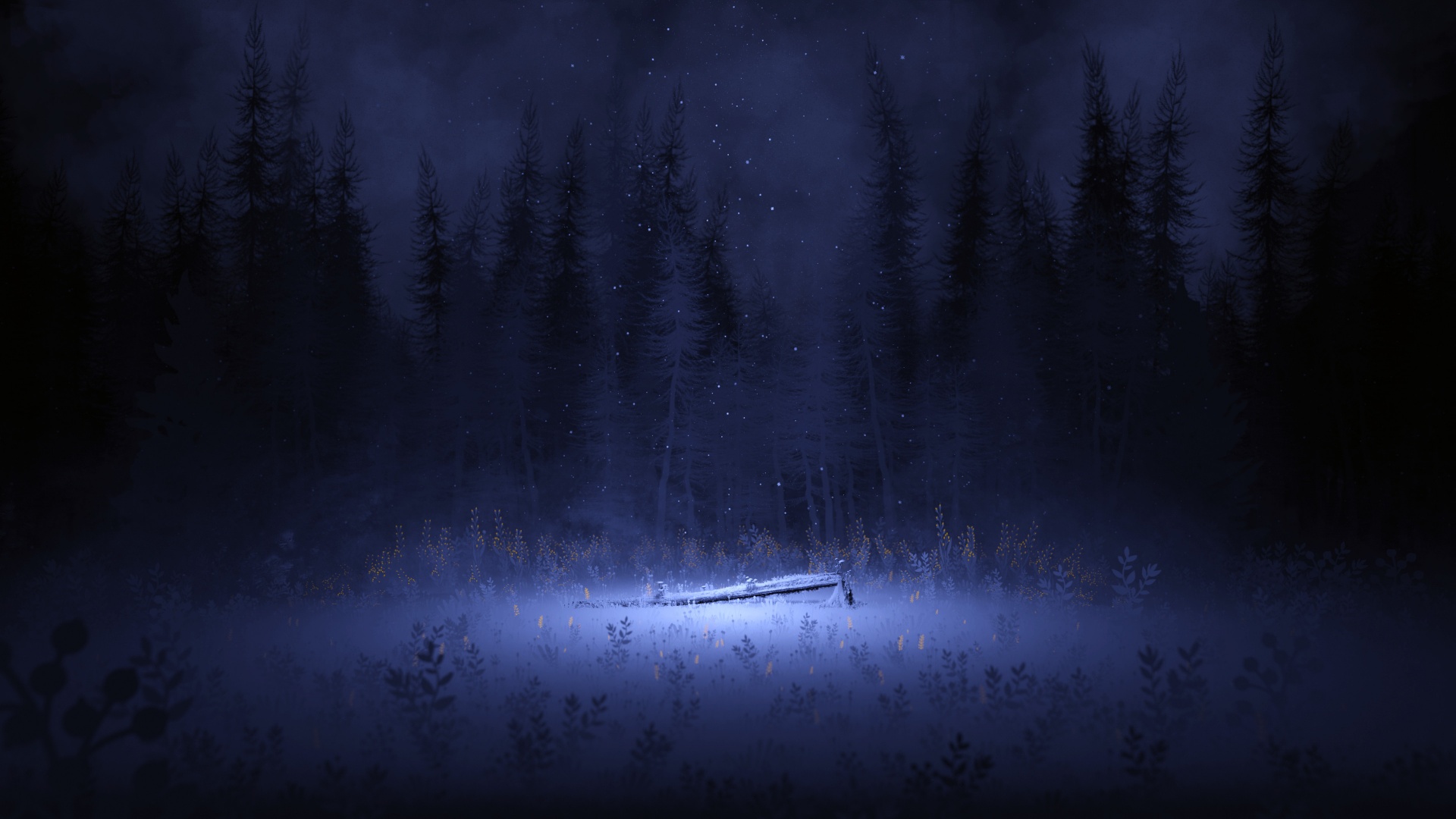 Light Wallpaper 4K, Night, Forest, Winter, Nature