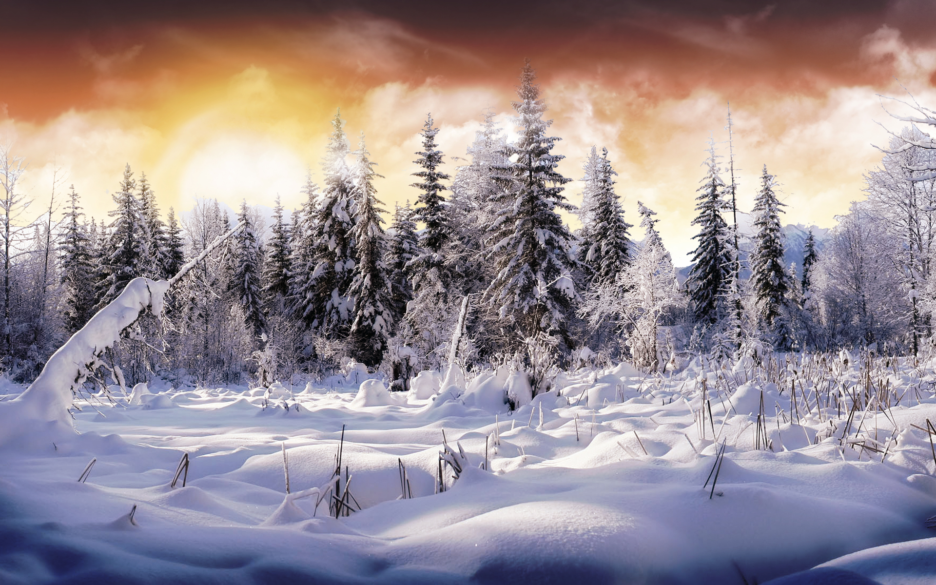 2900+ Winter HD Wallpapers and Backgrounds