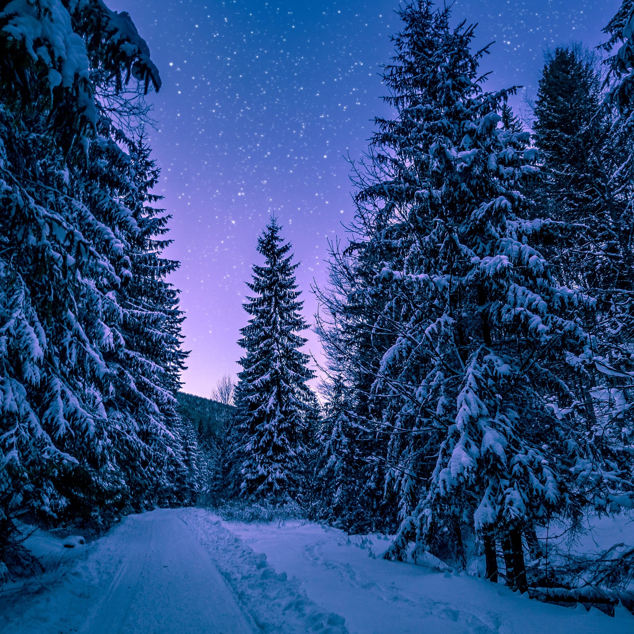 Beautiful Photo of Winter. POPSUGAR Smart Living