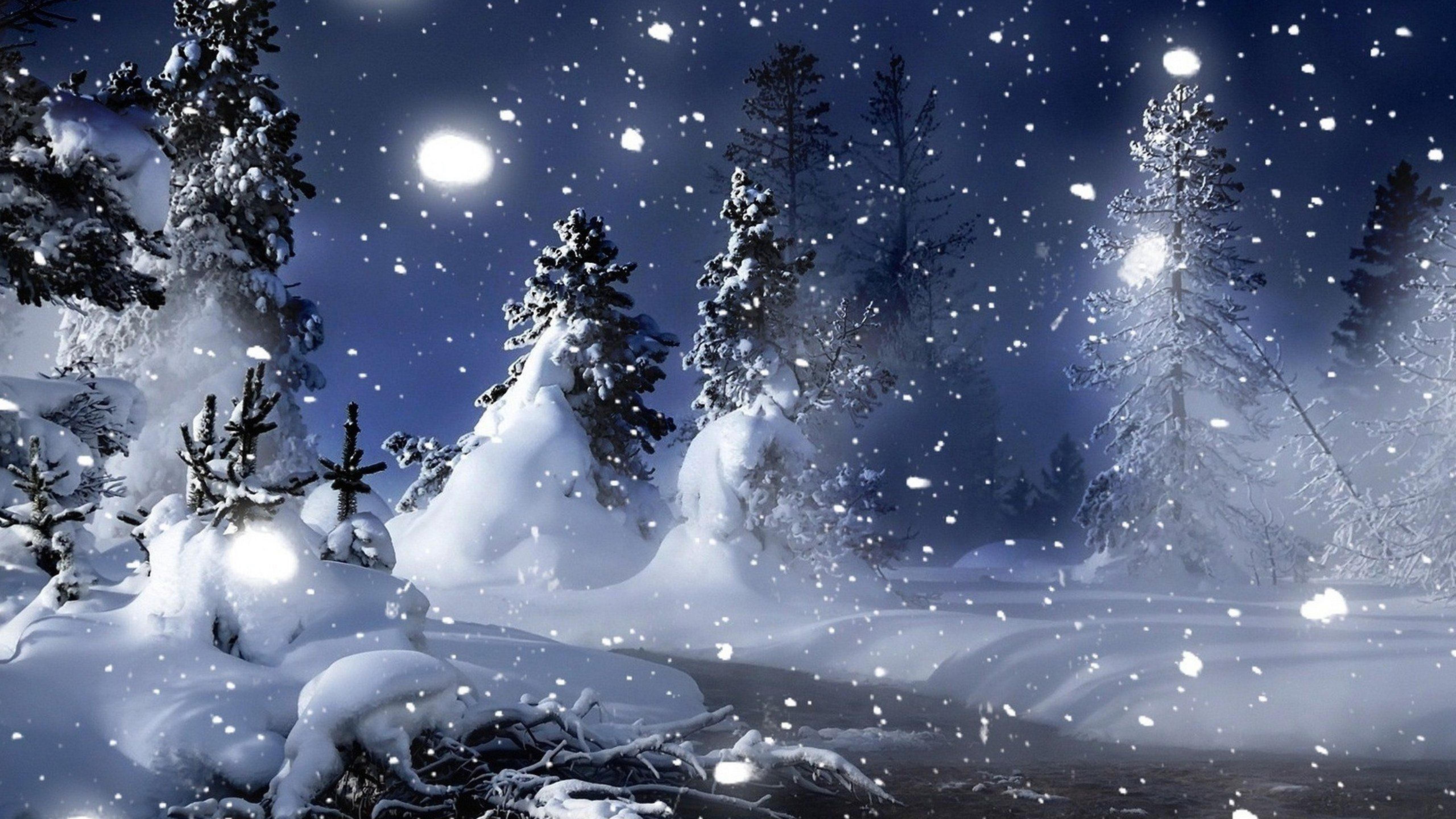 Cold winter night time over Forest