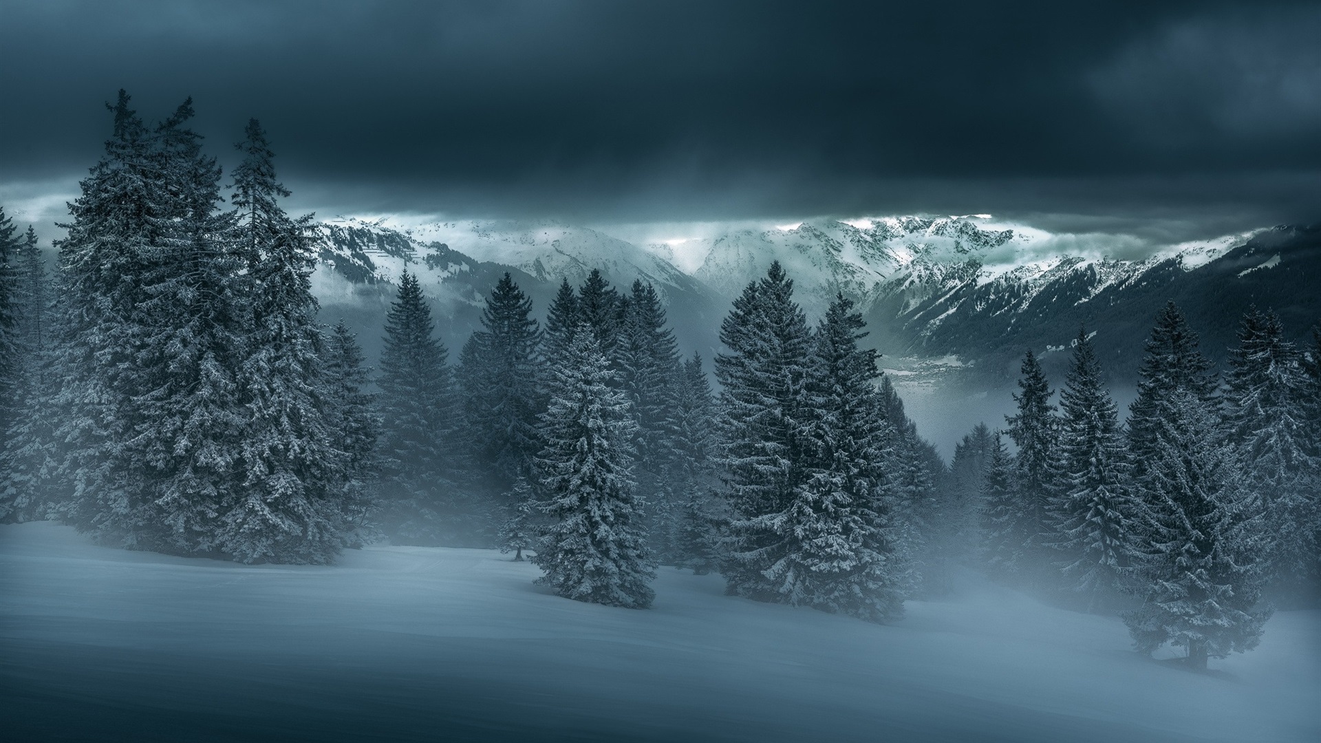 Wallpaper Winter night, forest, trees, mountains, snow 1920x1200 HD Picture, Image