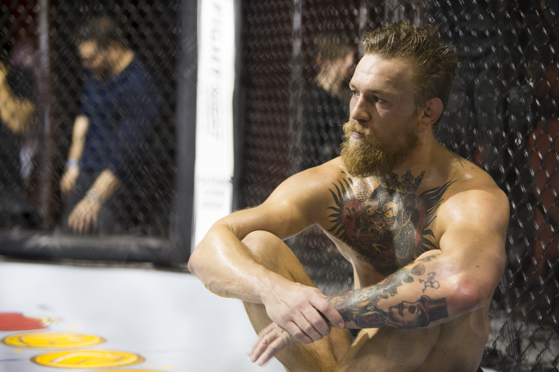 Conor McGregor workout photo
