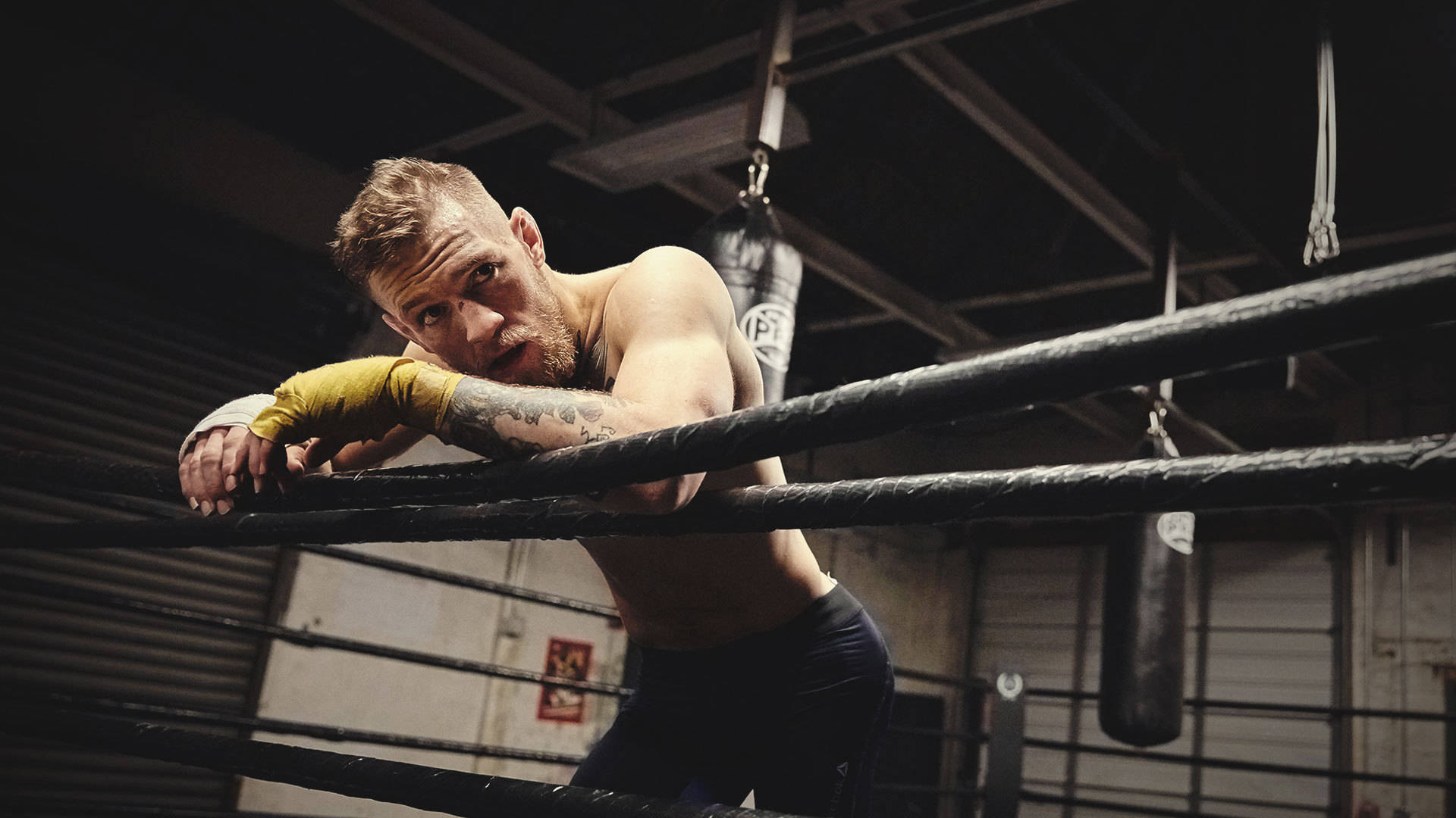 Download Conor Mcgregor In Boxing Ring Wallpaper