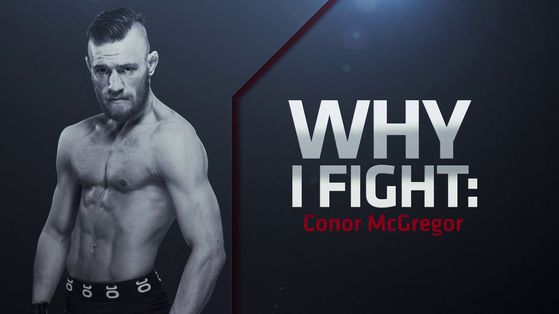 Why i fight. Why we fight перевод. Ufc. Азбука мма книга. Why i fight.