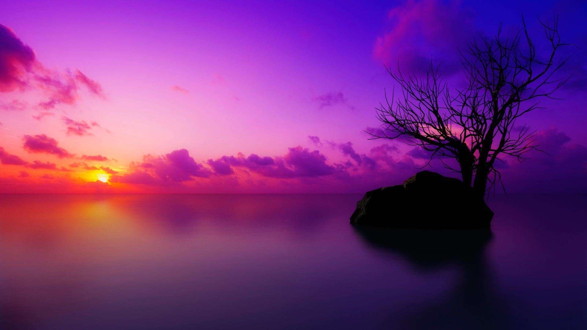 Purple Sunset Wallpaper