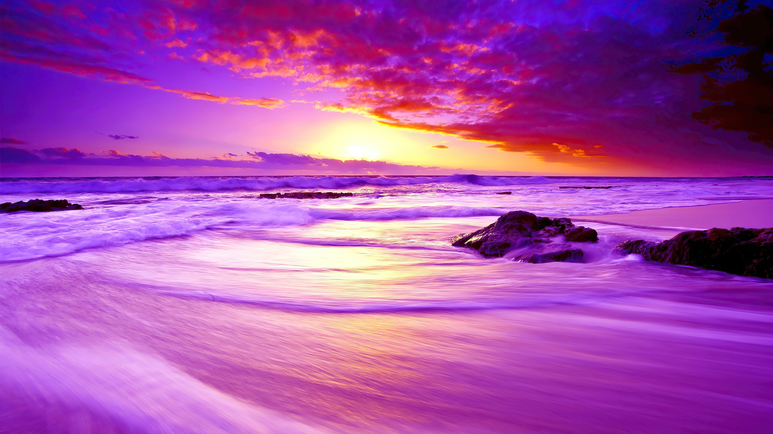 Wallpaper 4k Purple Beach Sunset 4k Wallpaper