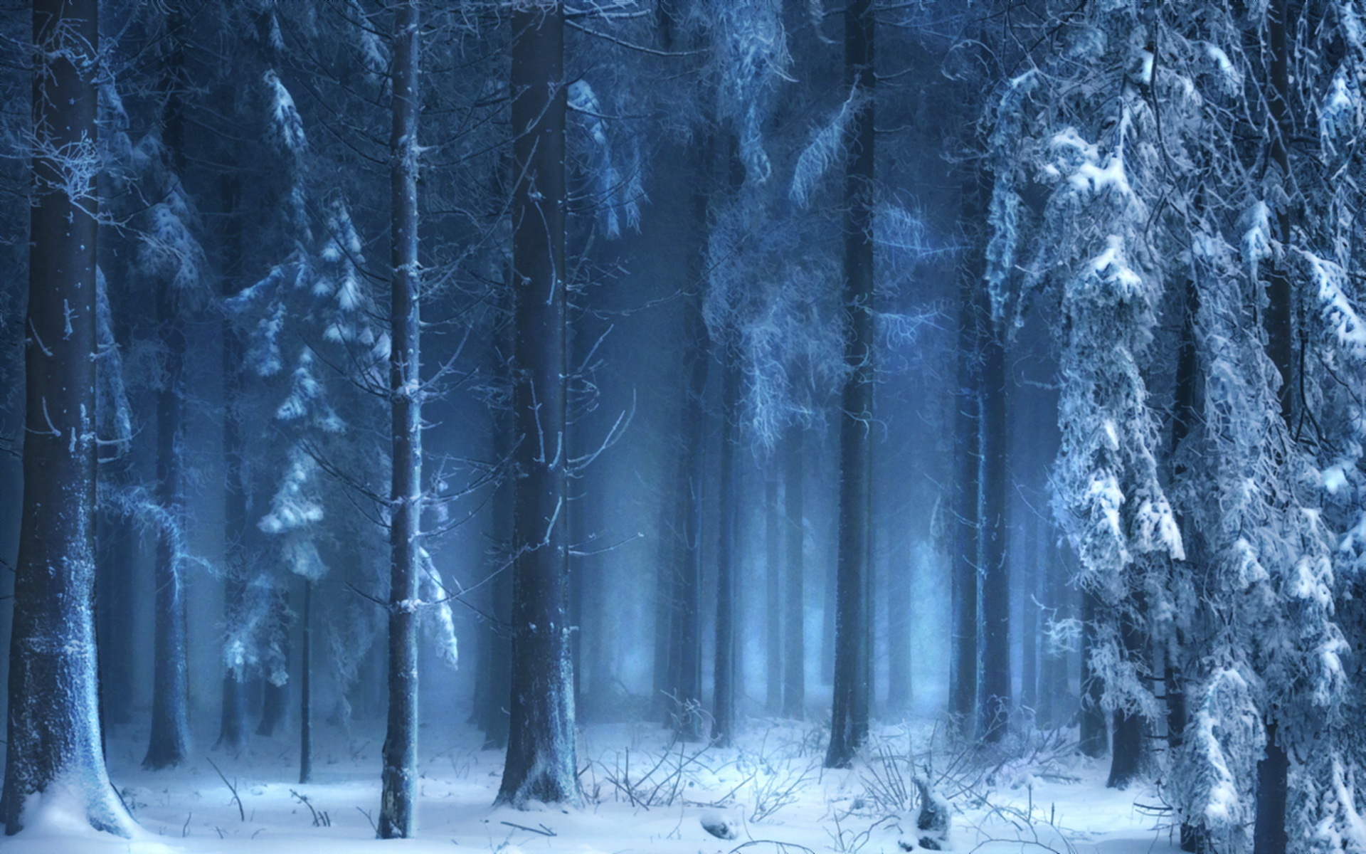 Winter forest in fog Desktop wallpaper 1920x1080