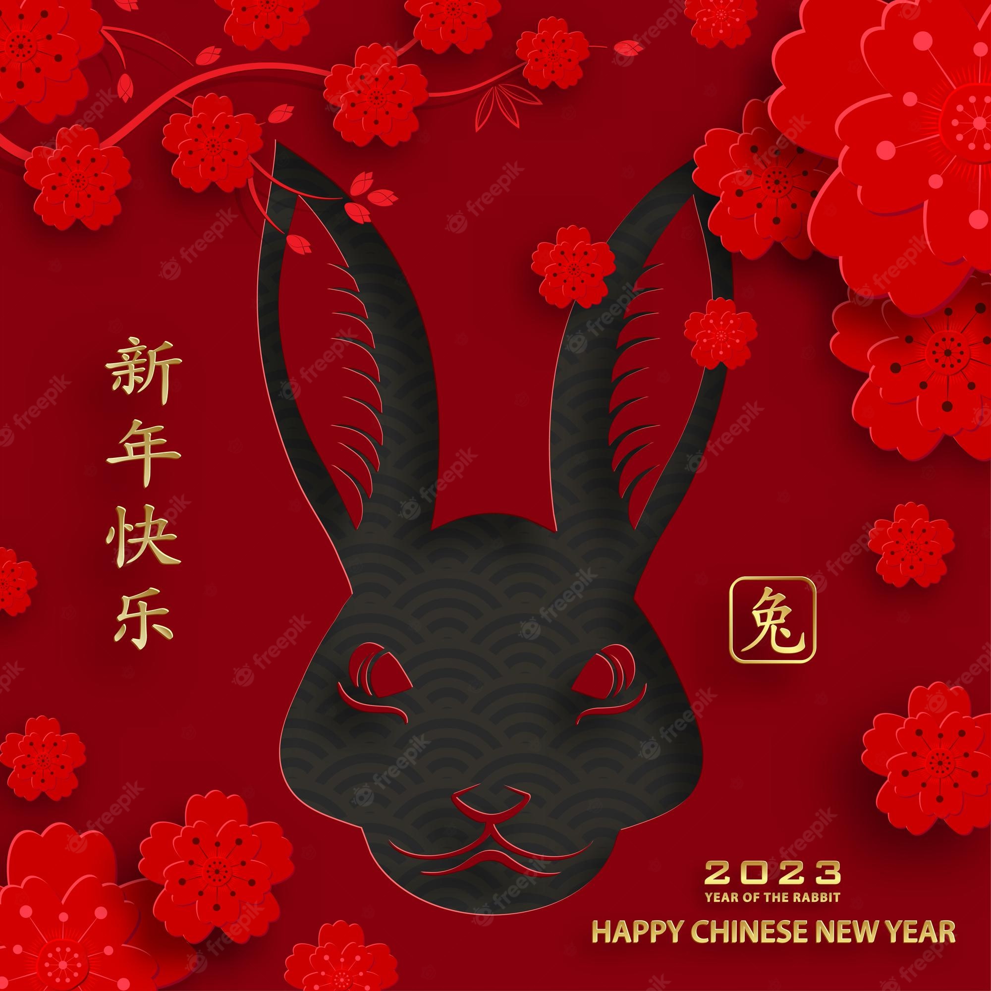 Premium Vector. Happy chinese new year 2023 rabbit zodiac on color background