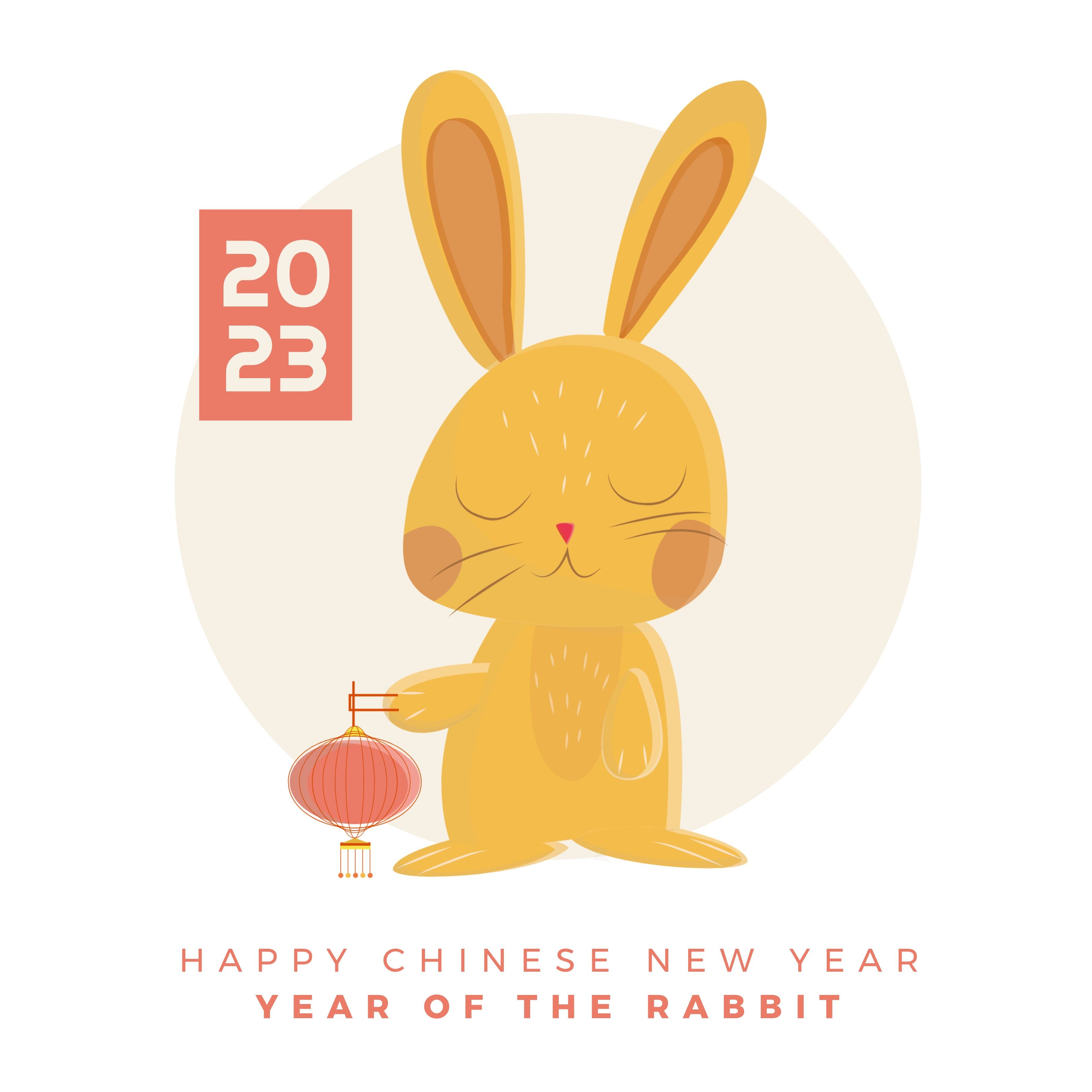 Composition of happy chinese new year text over rabbit on white background Photo from PikWizard