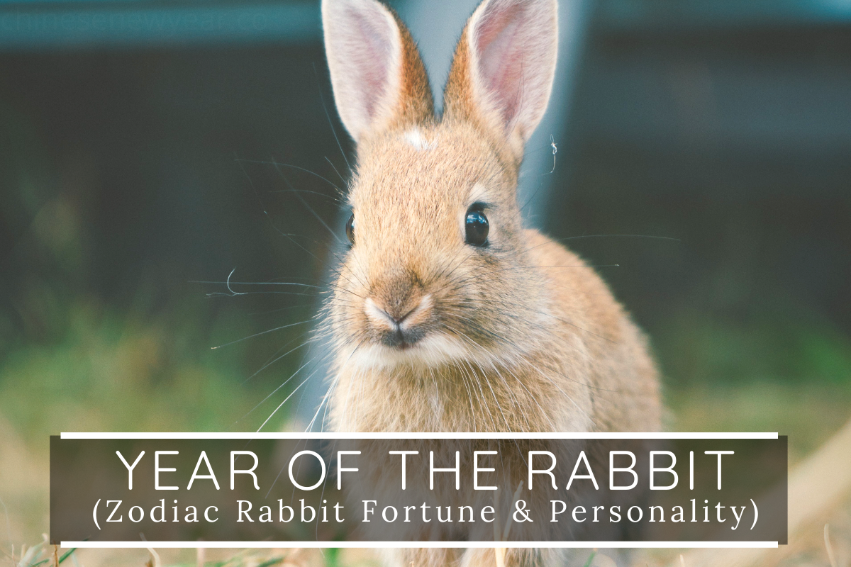 Year of the Rabbit Meaning, Personality & Prediction in 2021