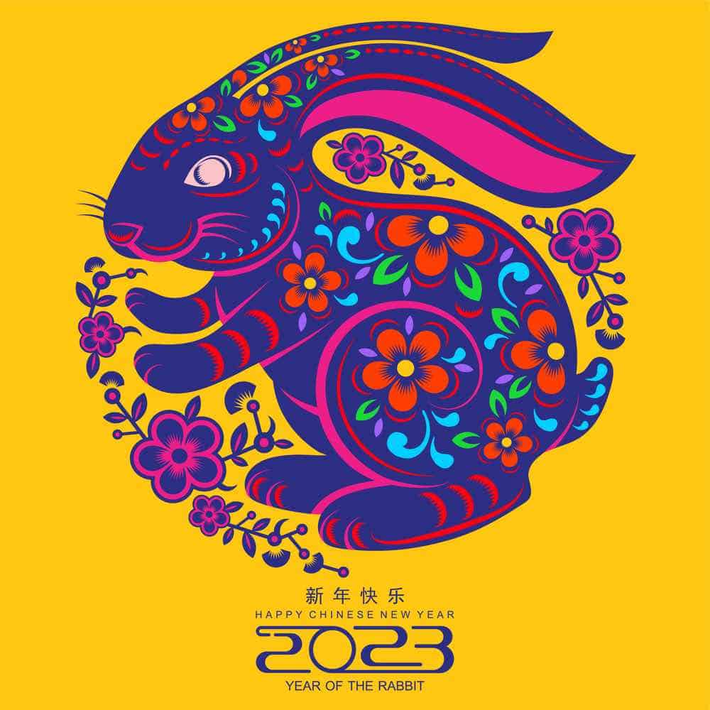 Happy chinese new year 2023 year of the rabbit zodiac sign, gong xi fa cai with flower, lantern, asian elements gold paper cut style on color Background. (Translation, Happy new year, rabbit year)