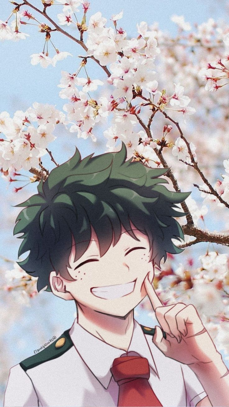 Deku Smile Wallpapers - Wallpaper Cave