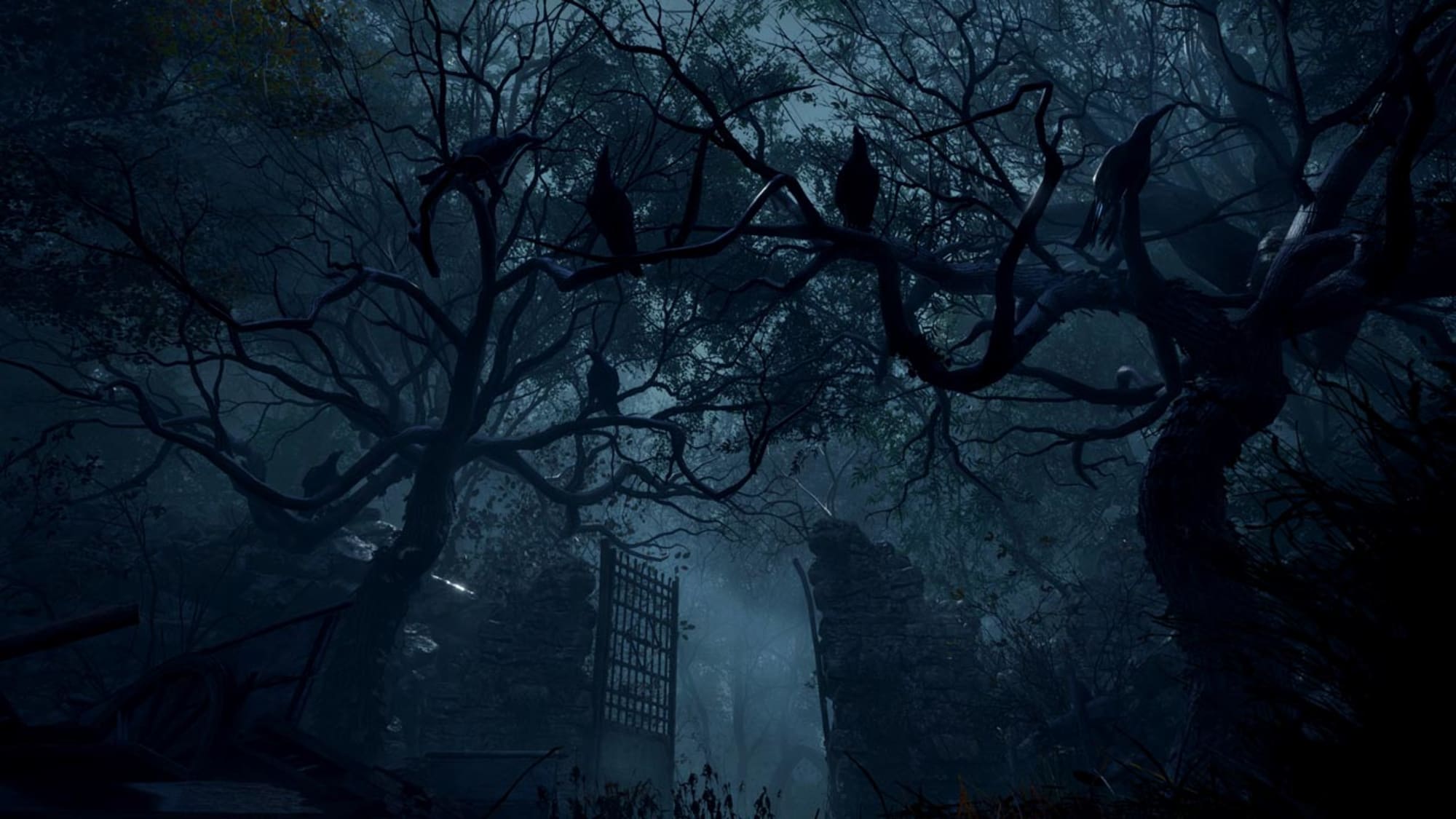 Resident evil 4 remake , wallpaper , night , nature