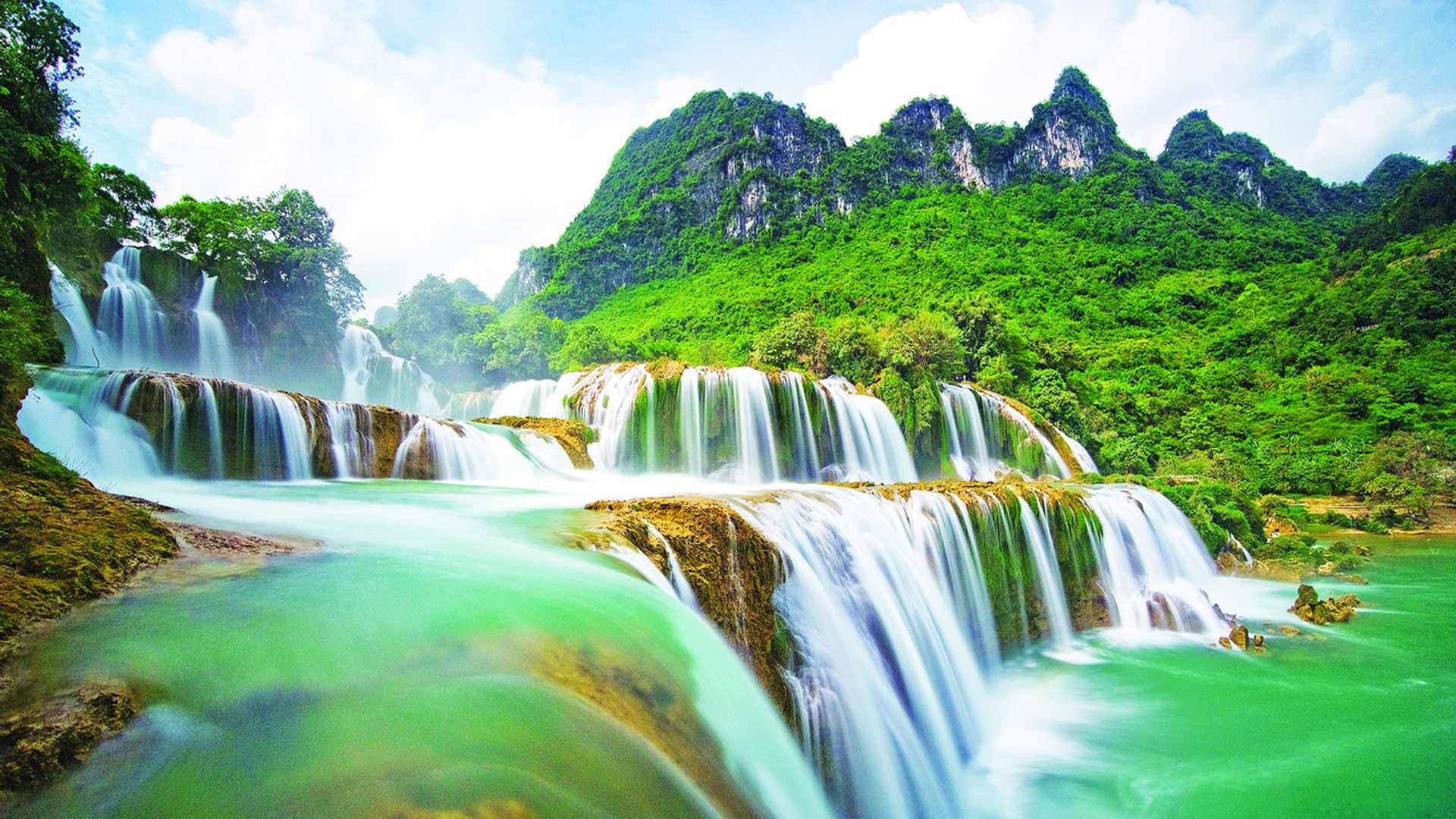 Nature HD
