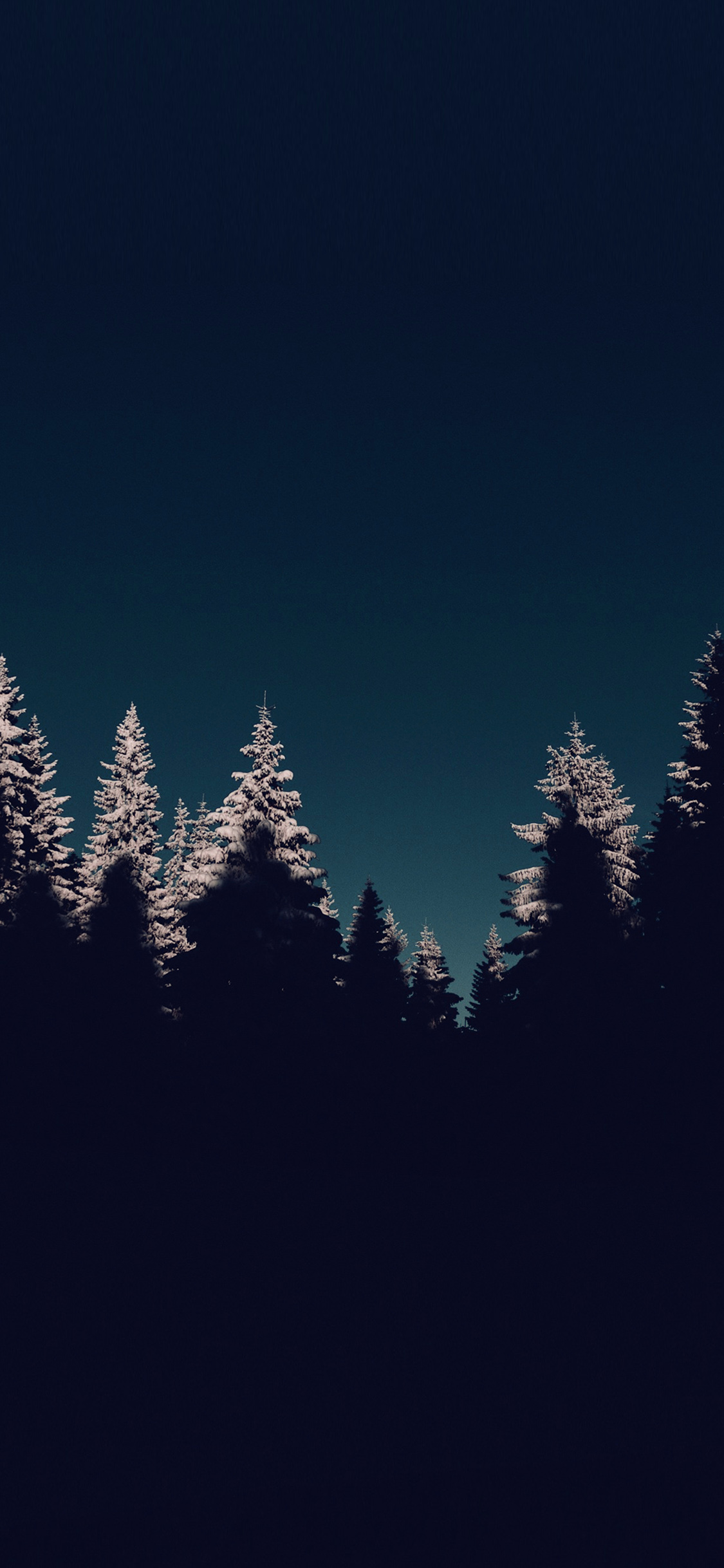 wood winter night mountain blue dark