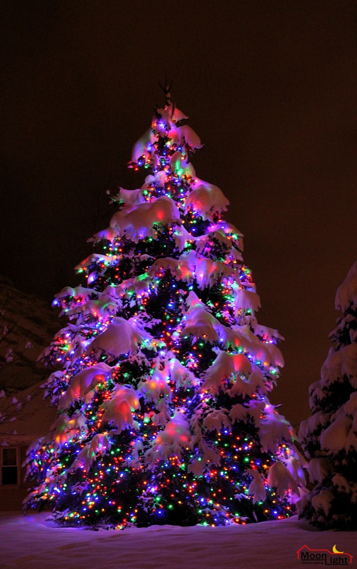 Christmas Tree Colored Lights Wallpapers - Wallpaper Cave