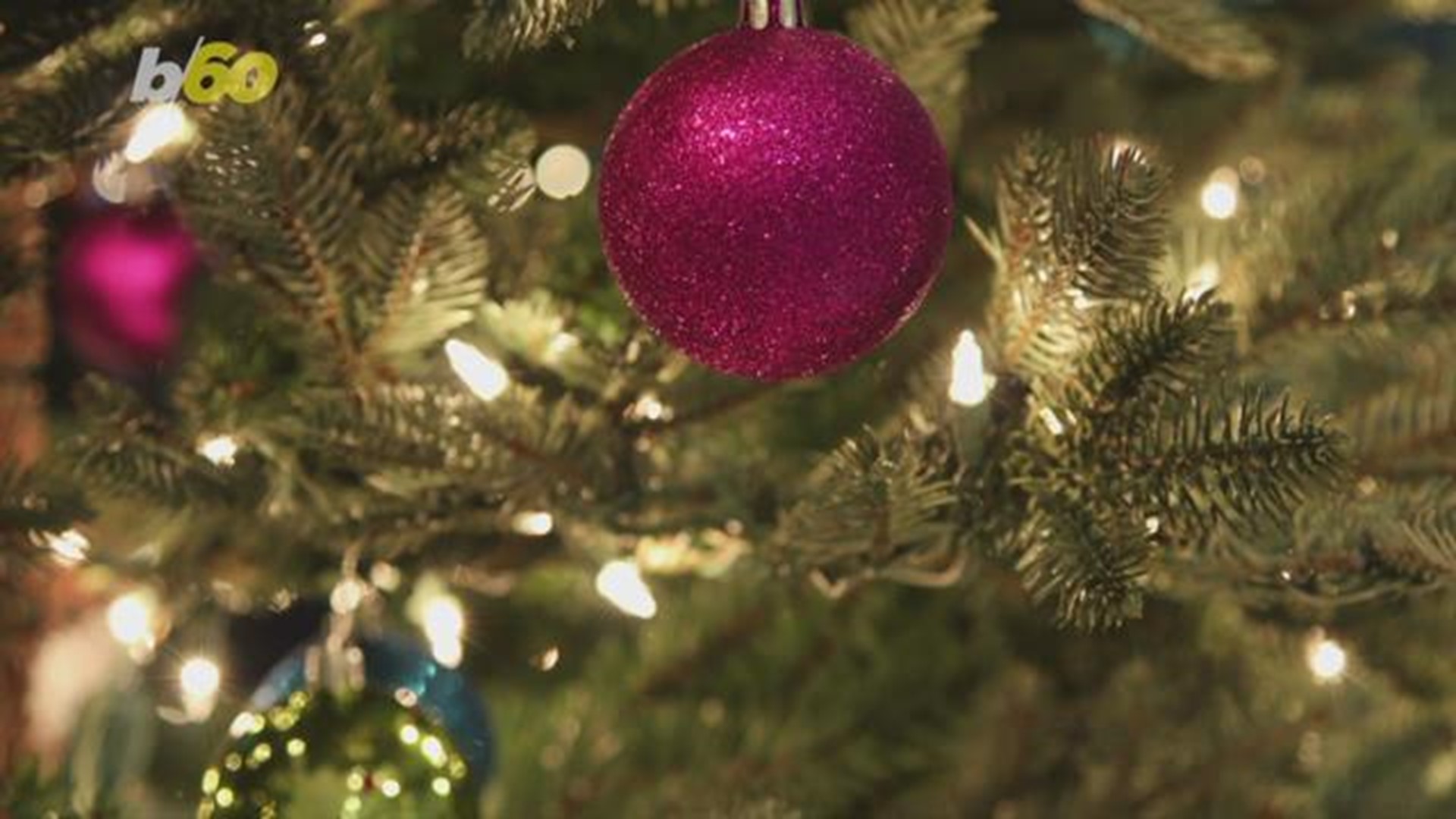 The Great Christmas Debate: White Lights Vs. Multi Colored Lights