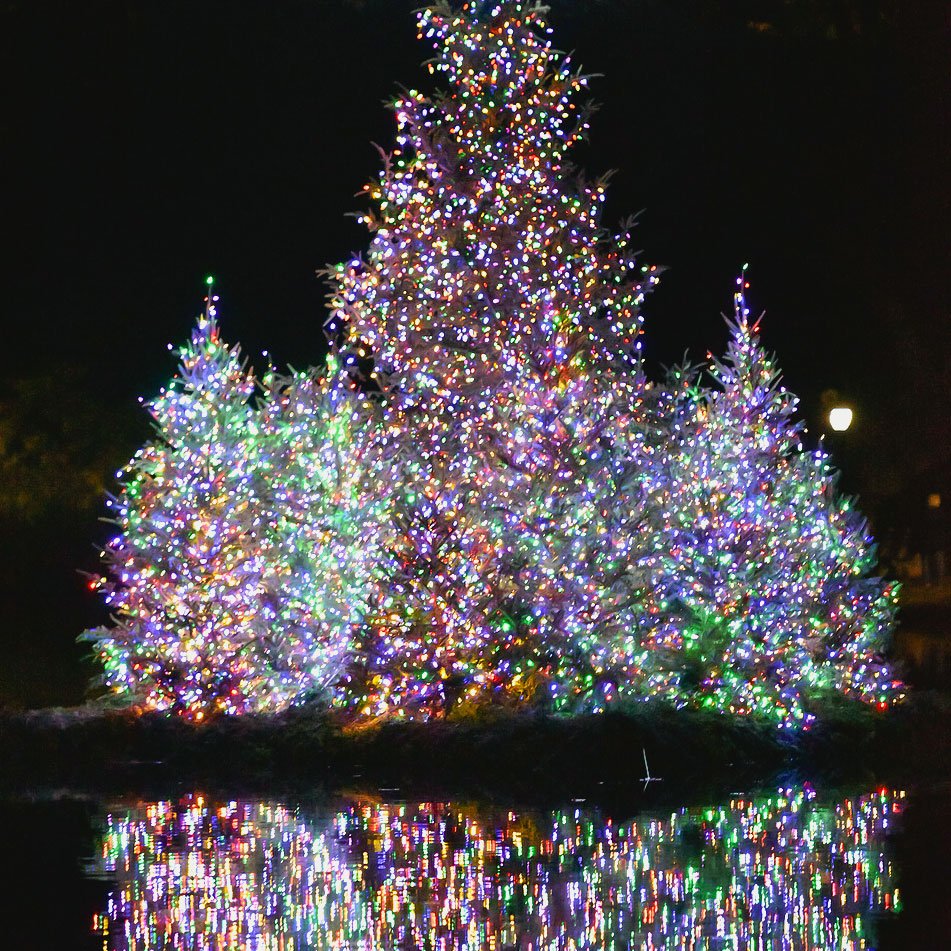 Annual Central Park Holiday Lighting 2021
