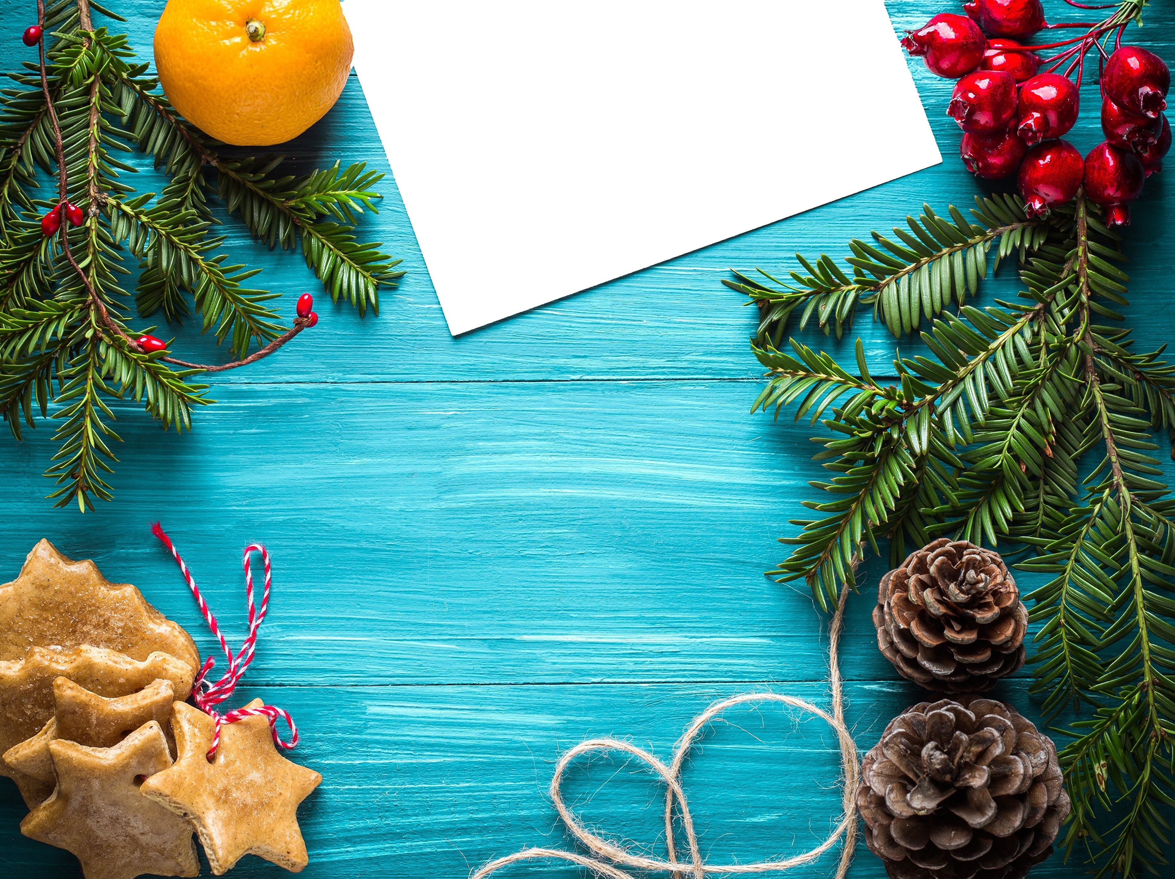 4K, Christmas, Orange fruit, Sheet of paper, Branches, Pine cone, Star decoration, greeting card Gallery HD Wallpaper