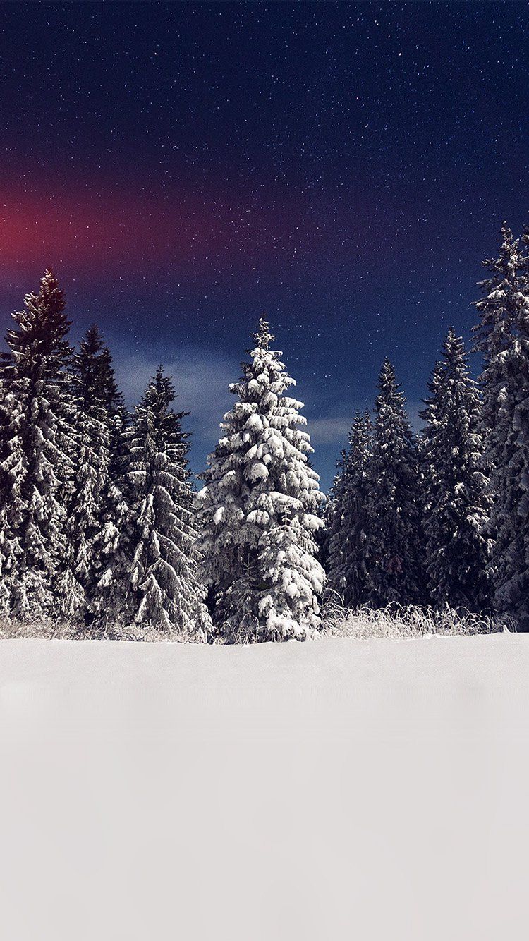 Snow Winter Wood Mountain Sky Star Night Flare. IPhone Wallpaper Winter, Winter Wallpaper, Winter Wood