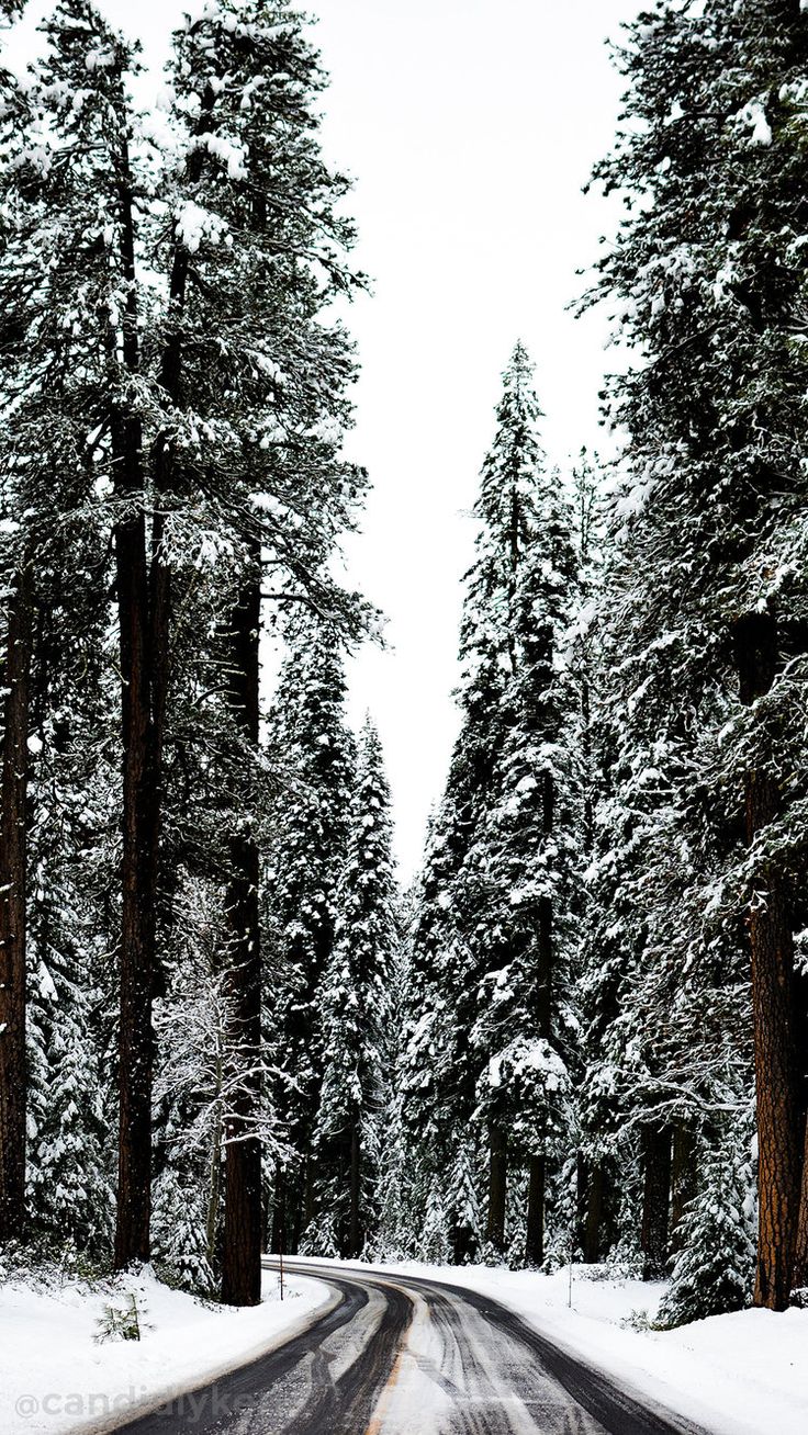 Phone wallpaper. Winter wallpaper, iPhone wallpaper winter, Winter photography
