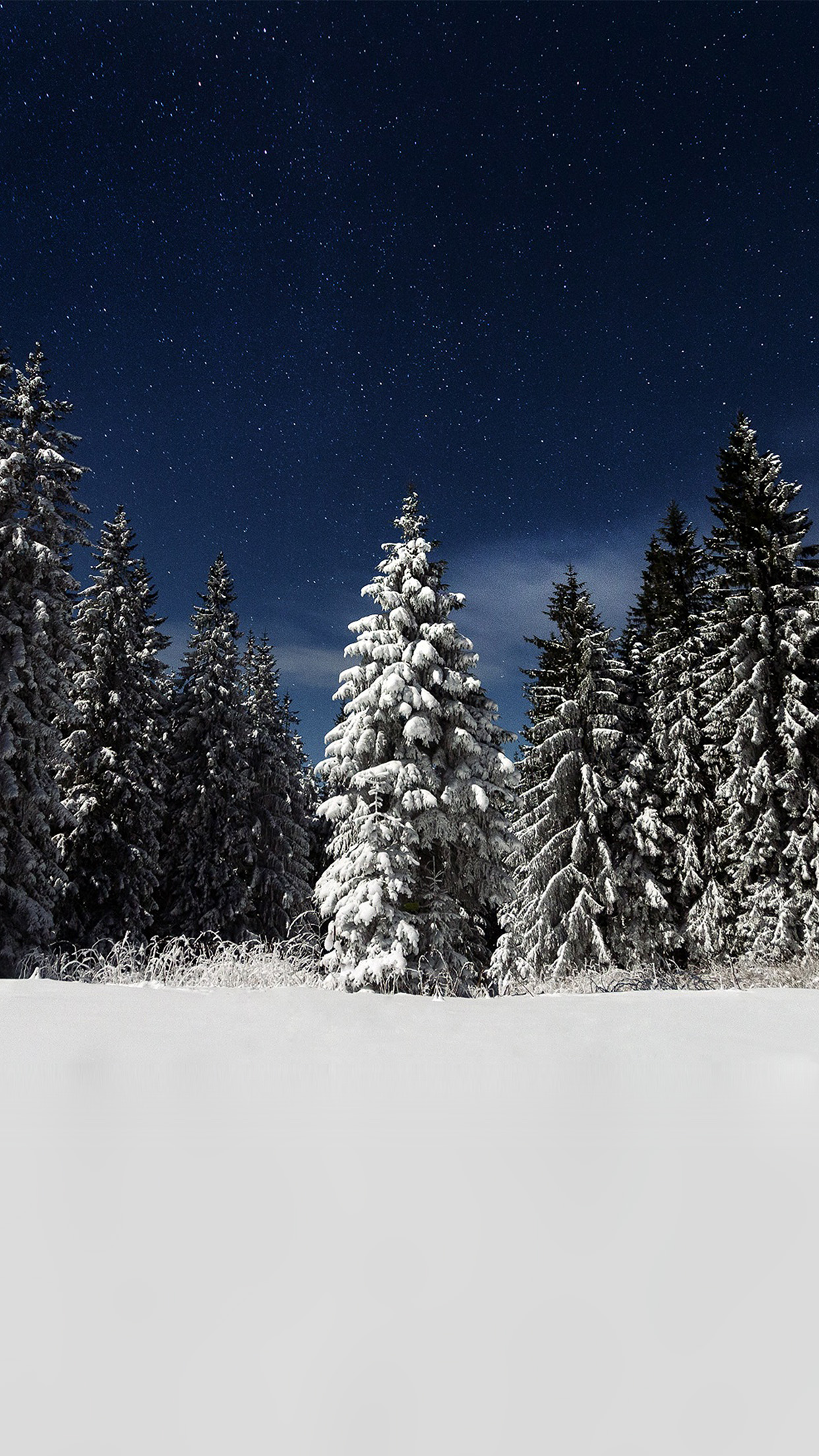 iPhone6papers.co. iPhone 6 wallpaper. snow winter wood mountain sky star night