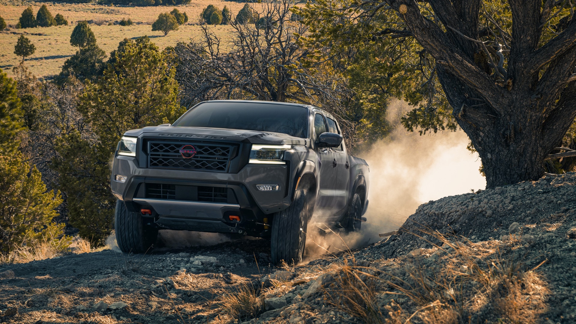 2022 Nissan Frontier Performance And Cost