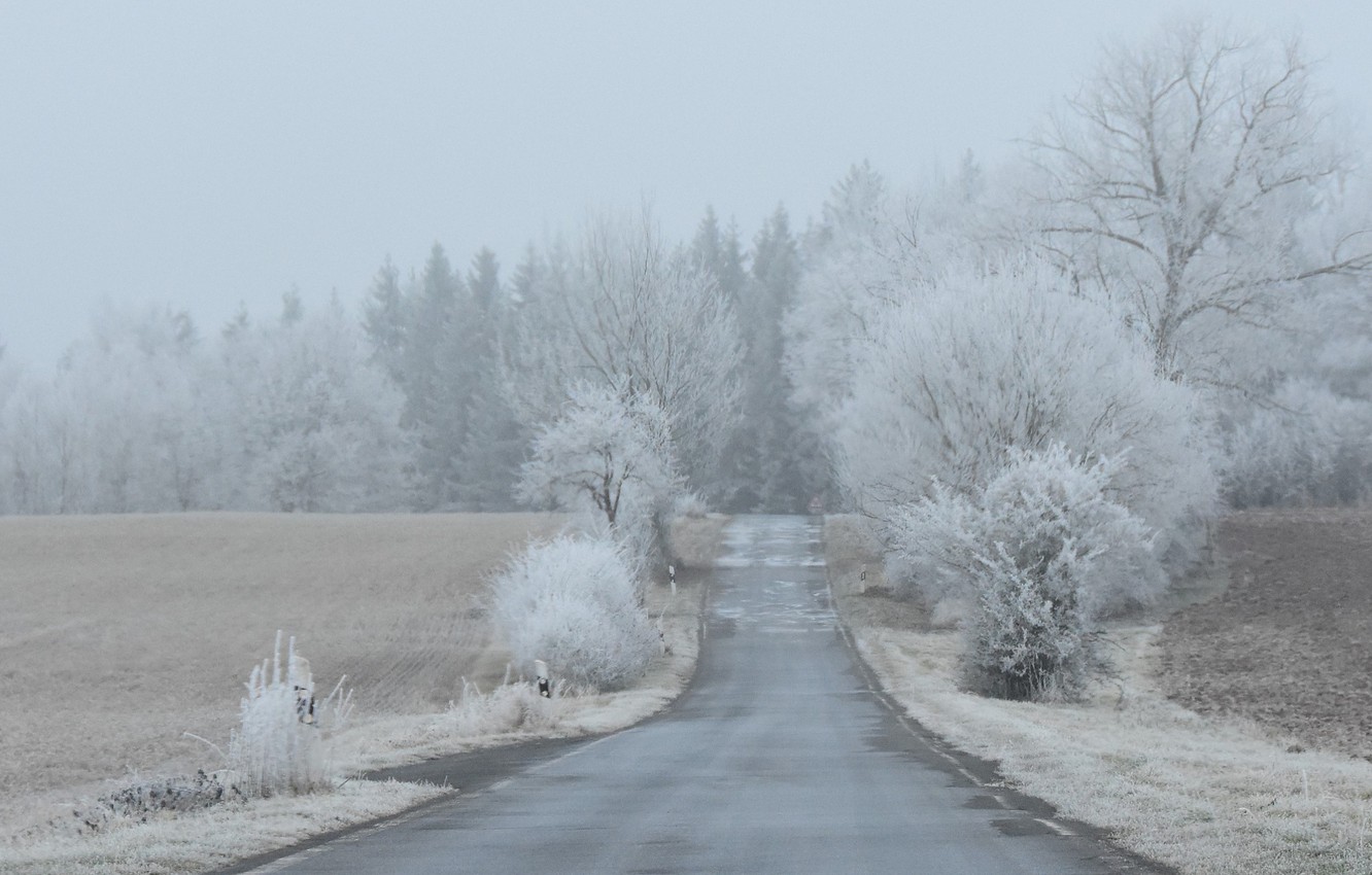 Wallpaper misty, road, winter, freeze, countryside, foggy, frost, farmland image for desktop, section пейзажи