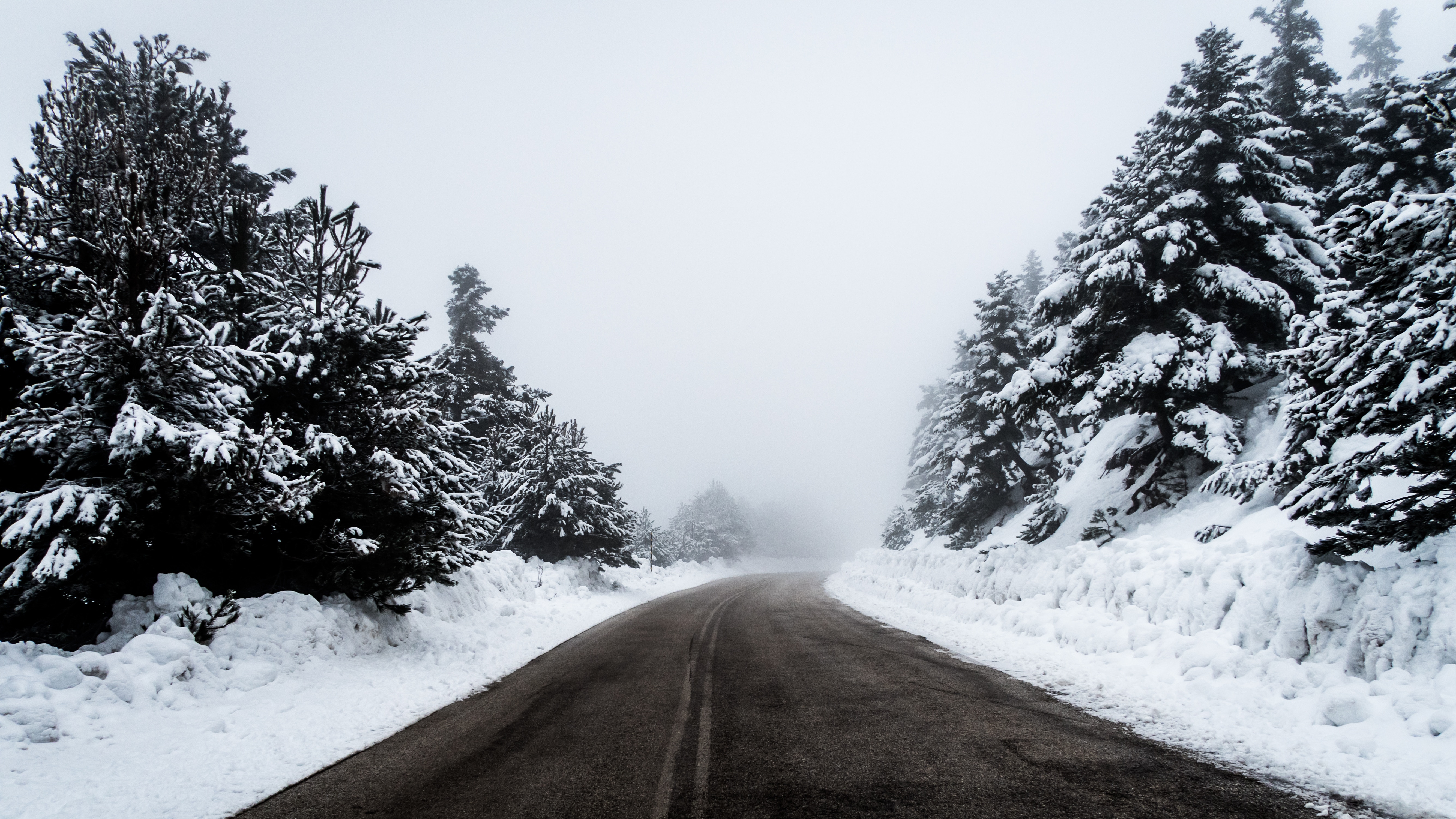 ultrawide snow forest road, HD Wallpaper
