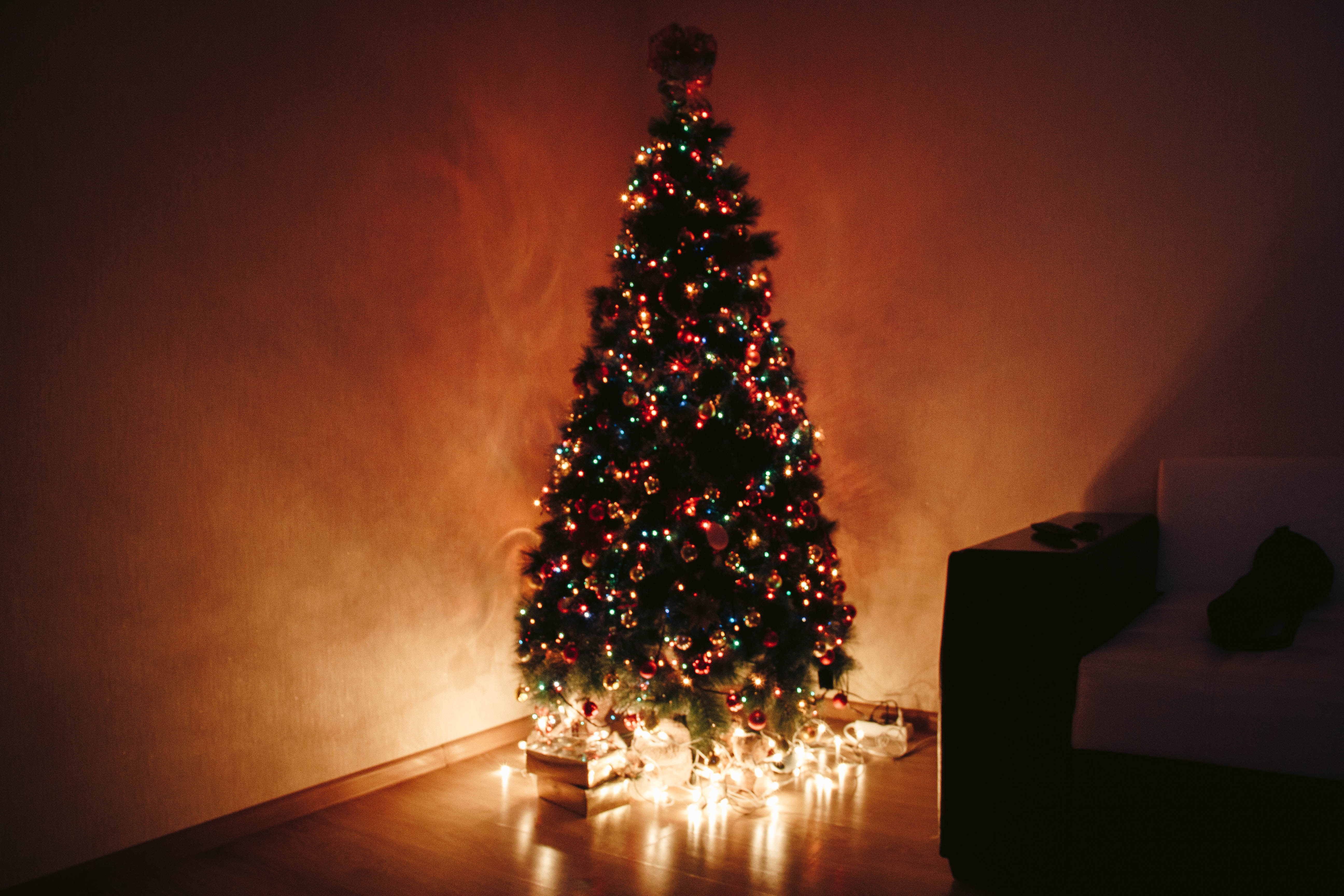 Photo of Christmas Tree During Night · Free