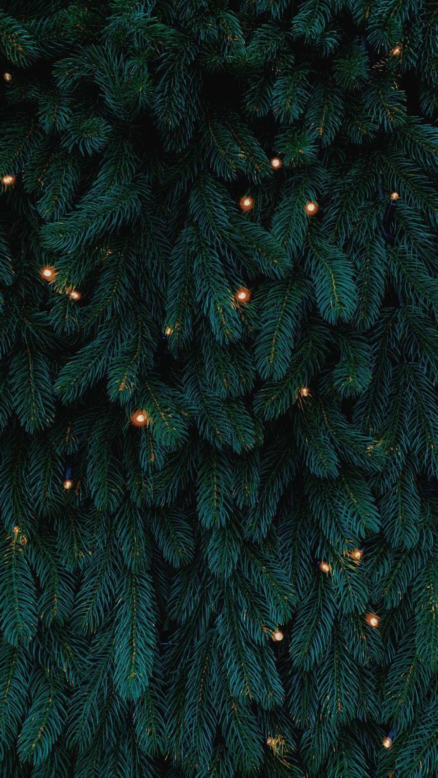 Christmas Tree Background Wallpaper, iPhone Wallpaper