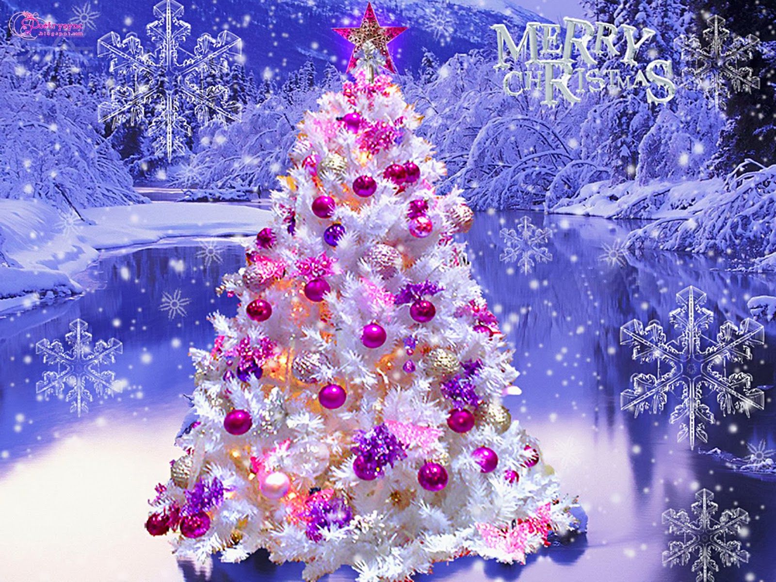 Christmas Tree Wallpaper
