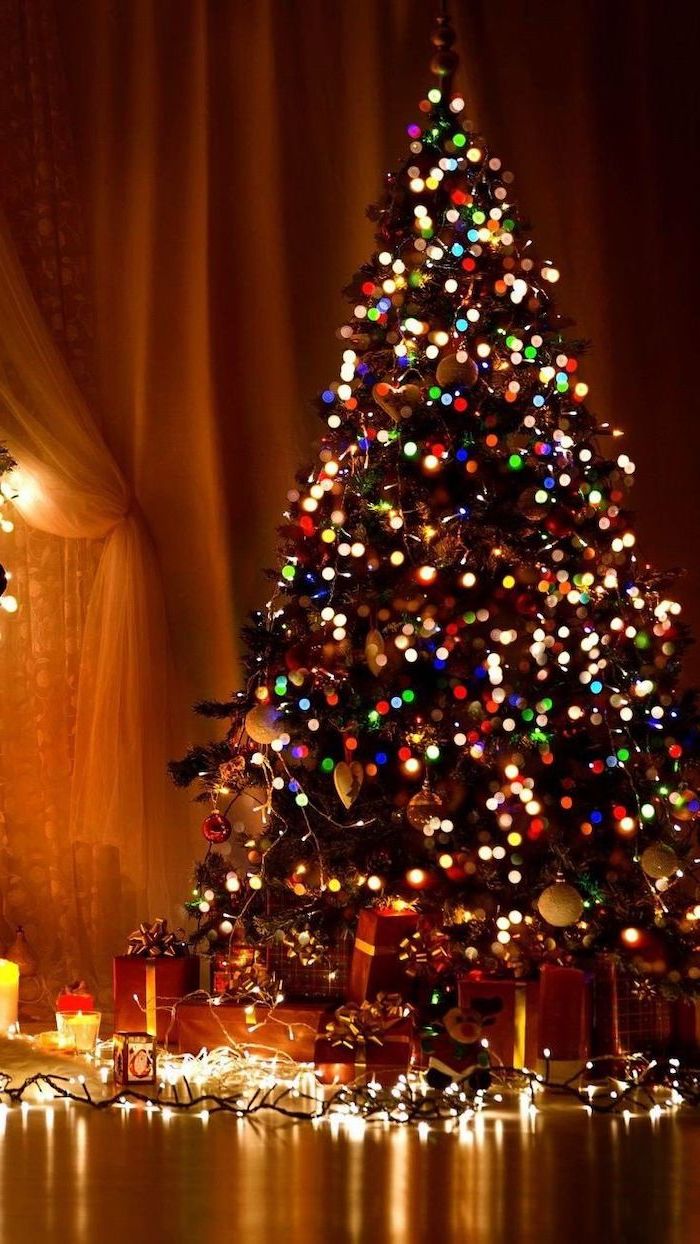 winter wallpaper and background to decorate your screen with