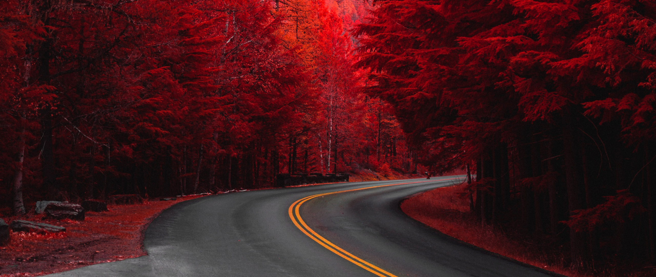 Download wallpaper 2560x1080 road through pine trees, red, dual wide 2560x1080 HD background, 23925