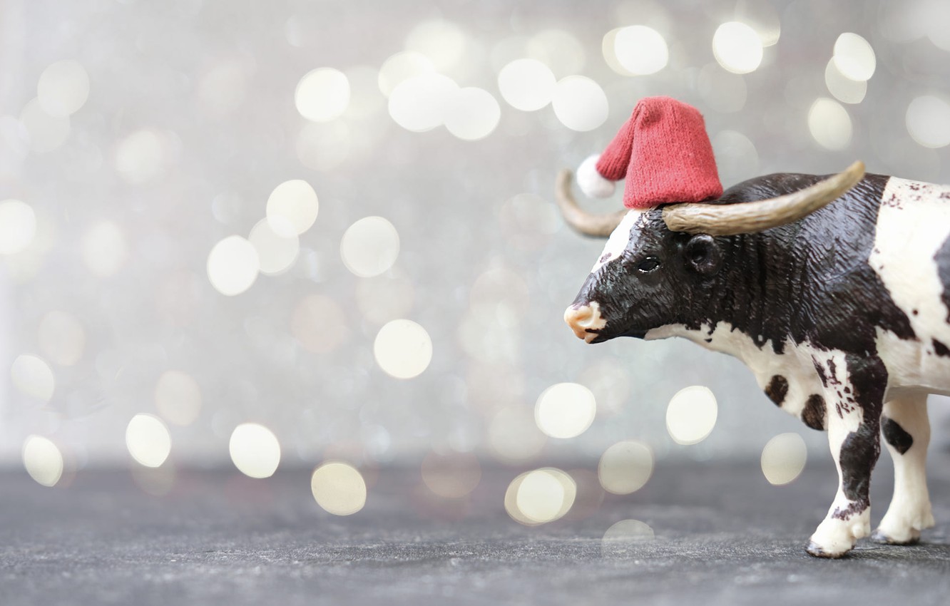 Wallpaper lights, holiday, black and white, toy, cow, Christmas, New year, horns, beads, profile, grey background, cap, figure, bokeh, spotted, Christmas decorations image for desktop, section новый год