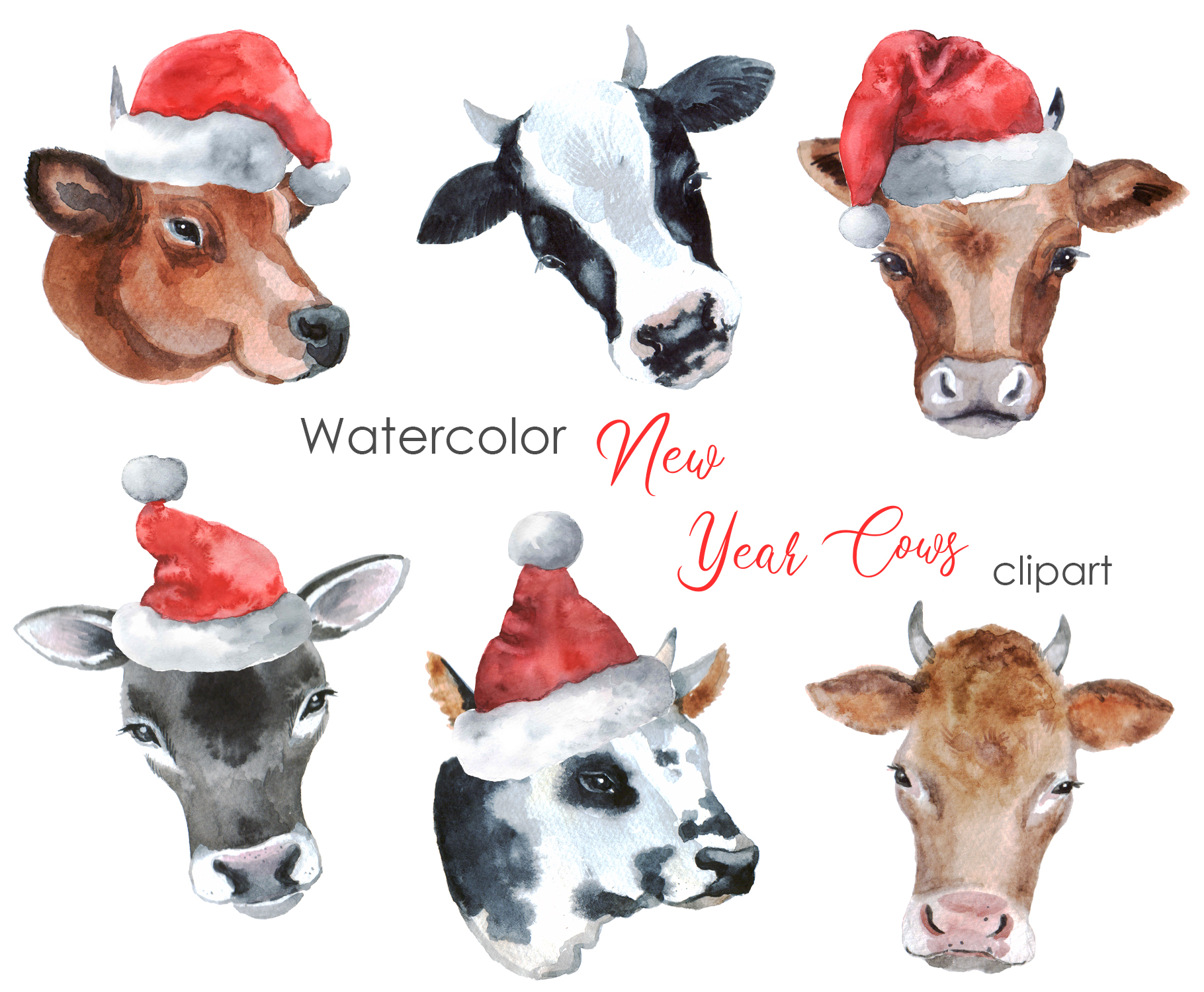 Christmas Cow Watercolor Clipart. Christmas Animals Cow With