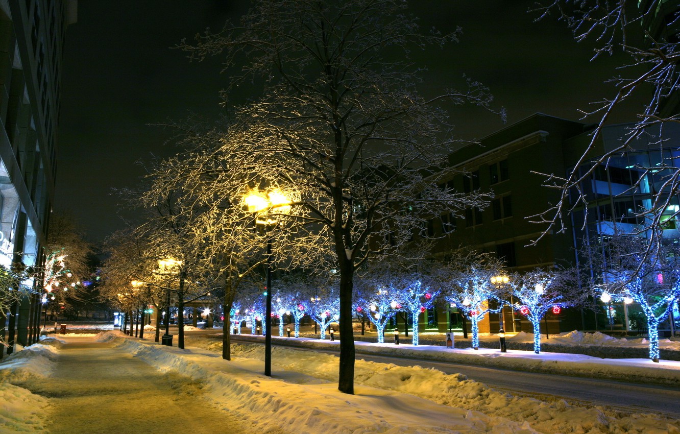 Wallpaper winter, snow, trees, the city, lights, lights image for desktop, section город