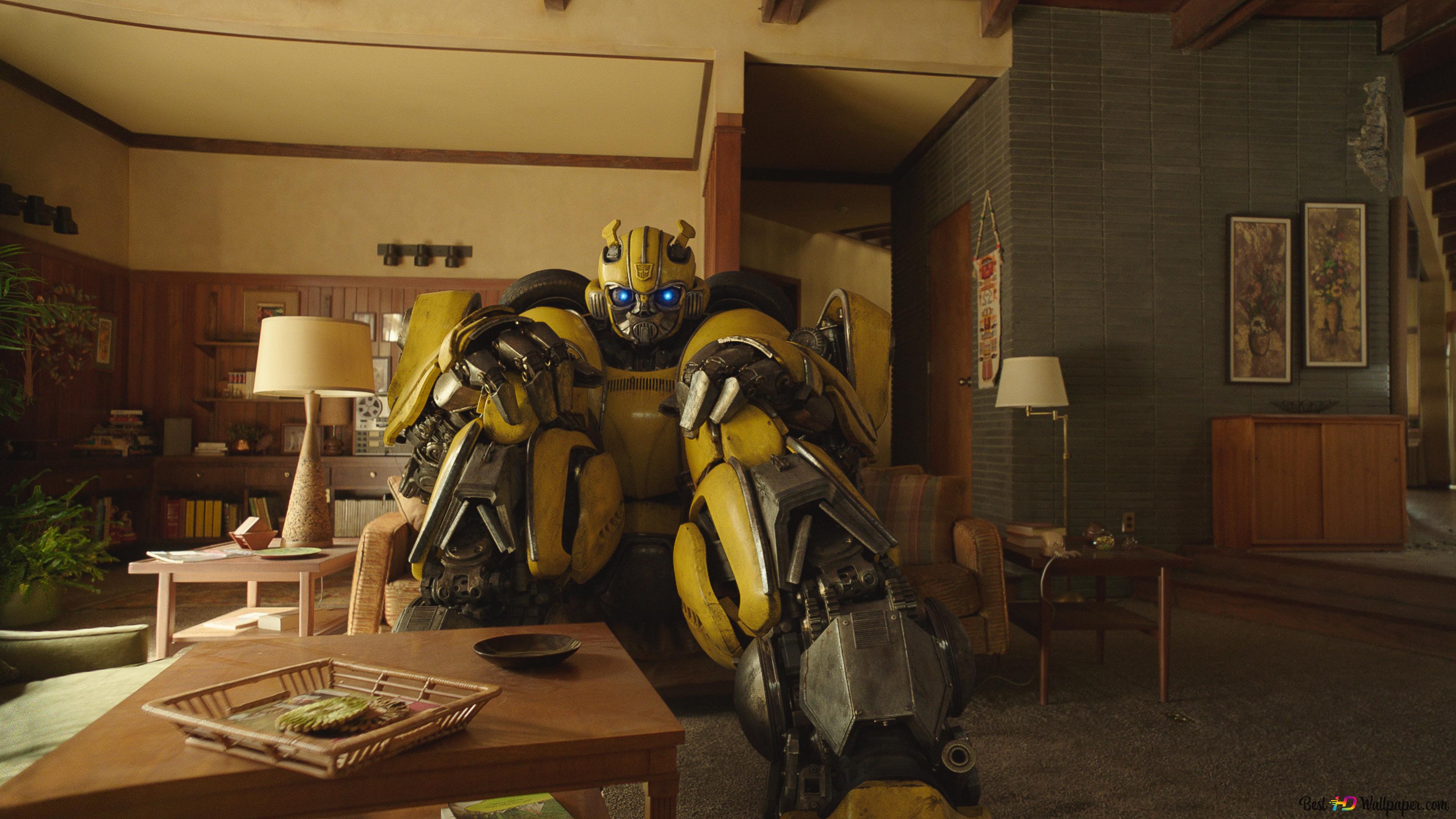 Bumblebee feels at home 4K wallpaper download