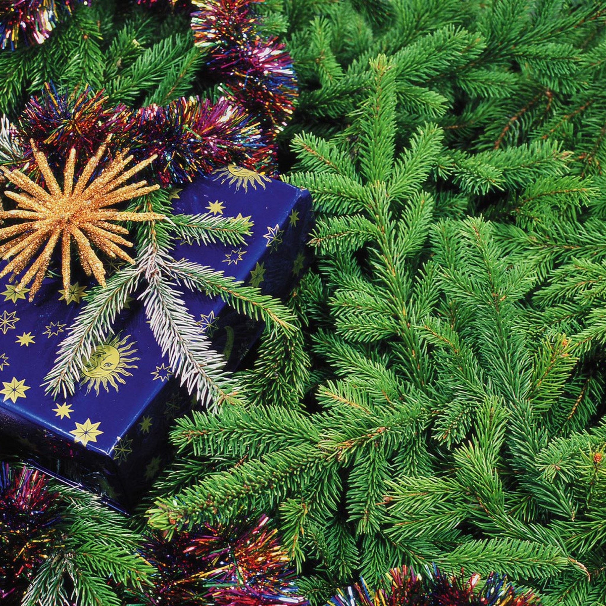 Christmas gift iPad Air Wallpaper Free Download