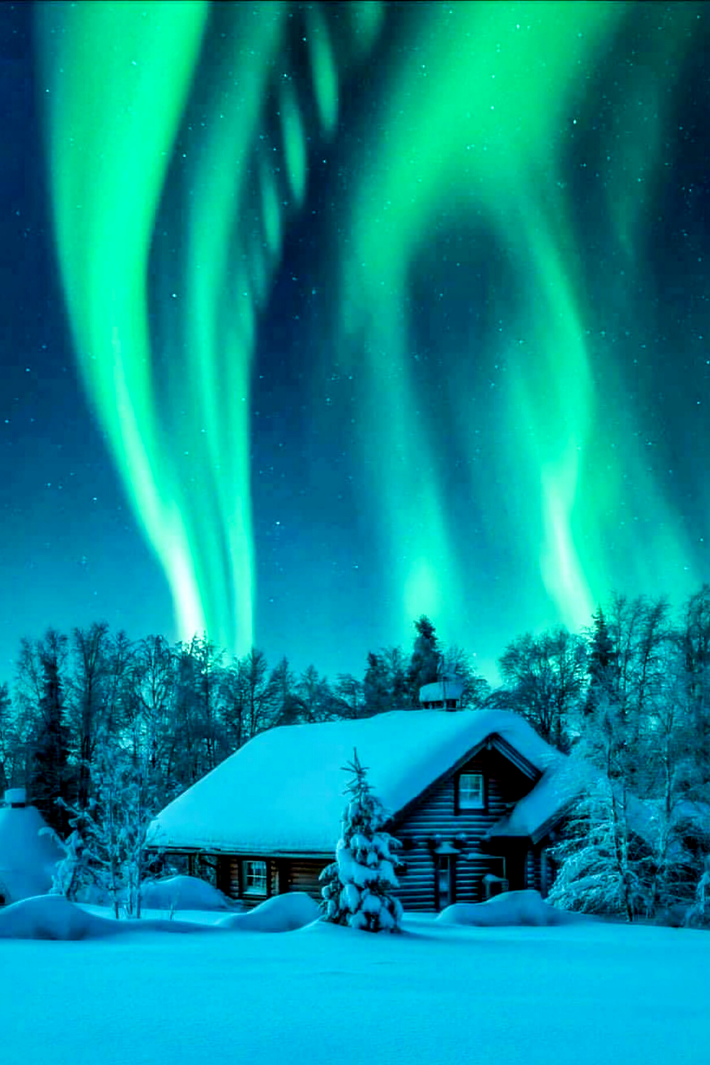 Northern Lights Quotes to Love Aurora Borealis More. Northern lights photography, See the northern lights, Northern lights