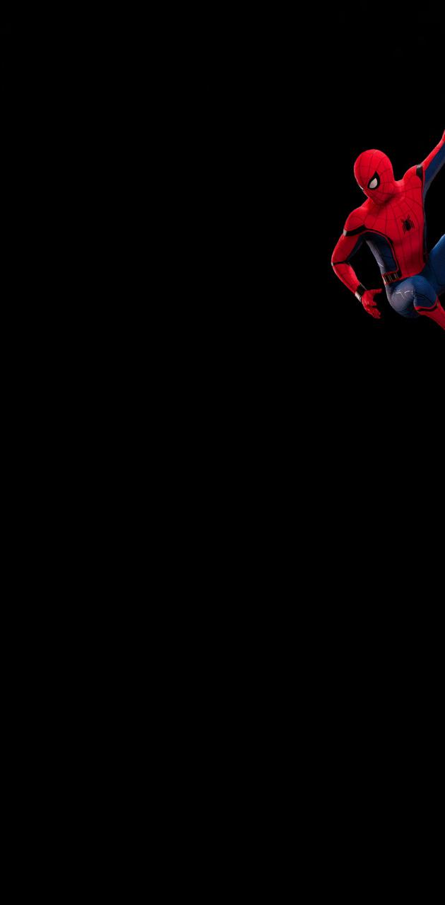 Spiderman hanging wallpaper