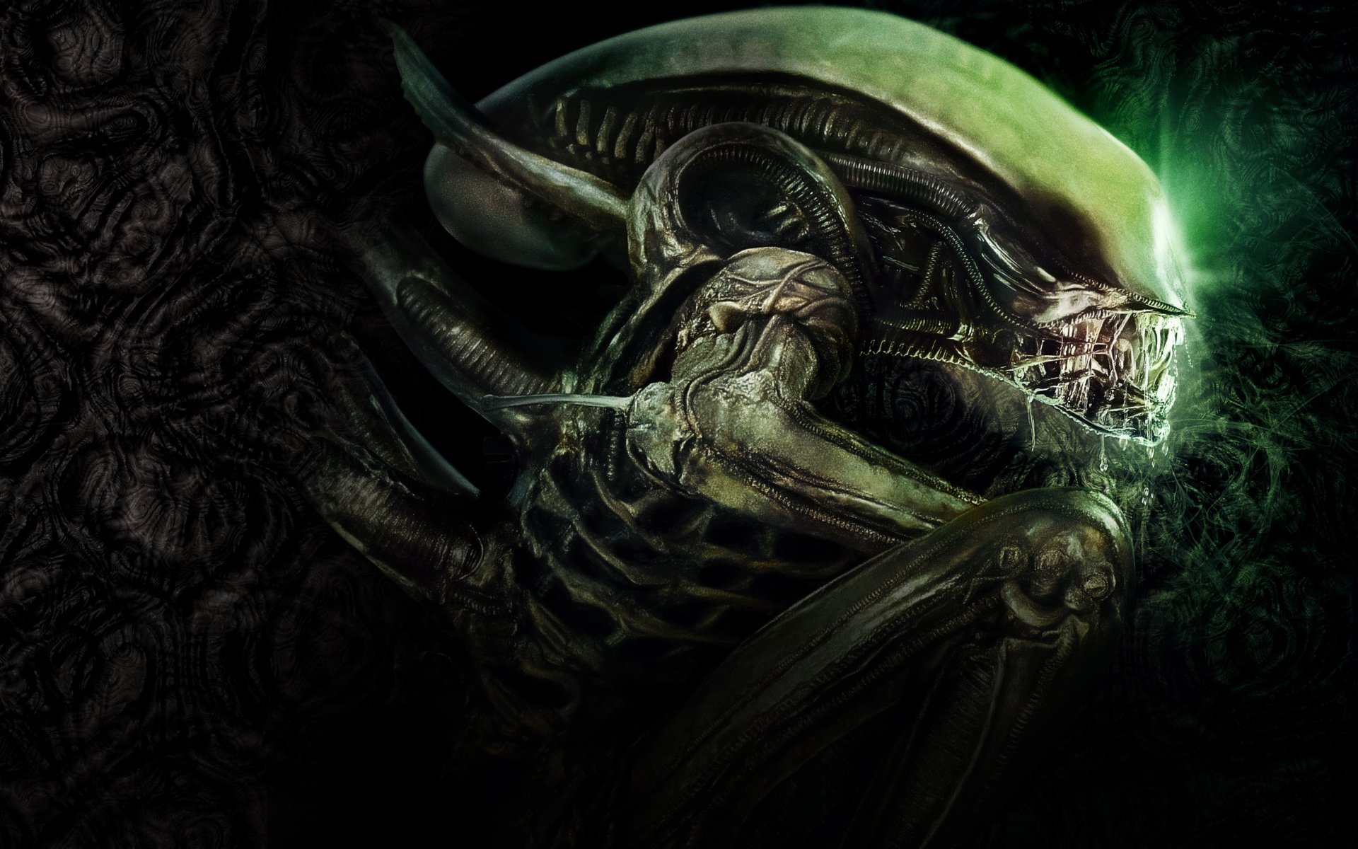 Alien vs. Predator Galaxy & Fox Confirm Alien Remains In Development Under New Ownership!. #Alien #Aliens #AlienCovenant #AlienAwakening #Alien40th #AlienDay # Xenomorph #XenomorphXX121