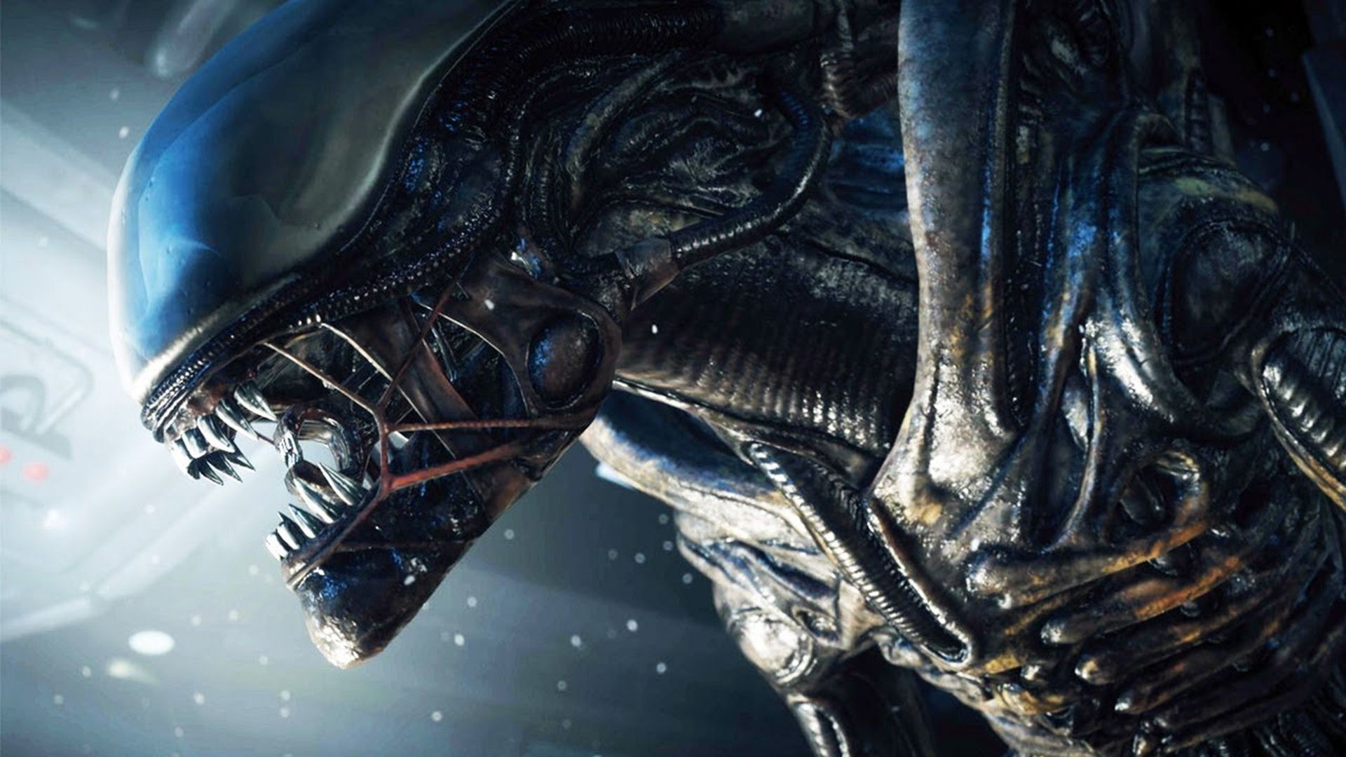 Aliens Deskx1080 HD Wallpaper