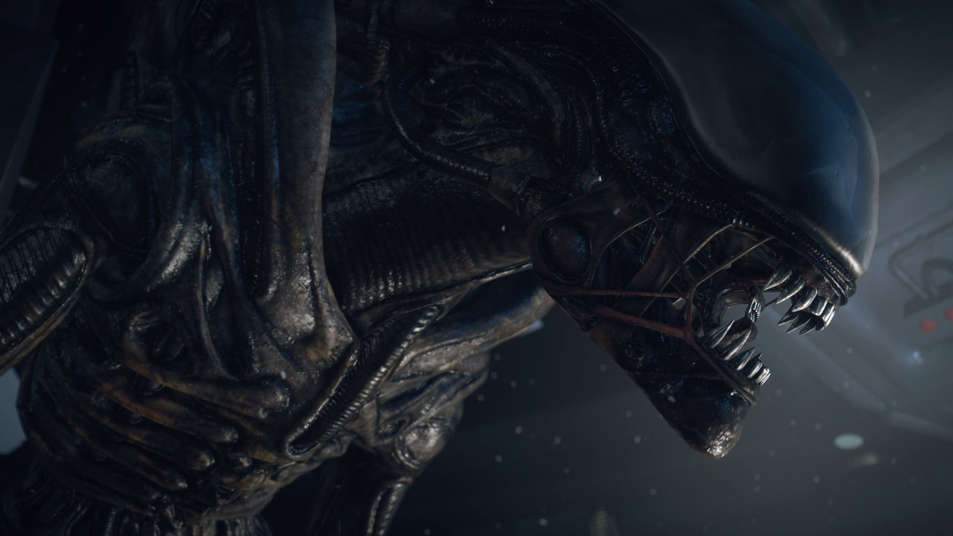 Unique Xenomorph Live Wallpaper. Alien isolation, Alien isolation game, Alien games
