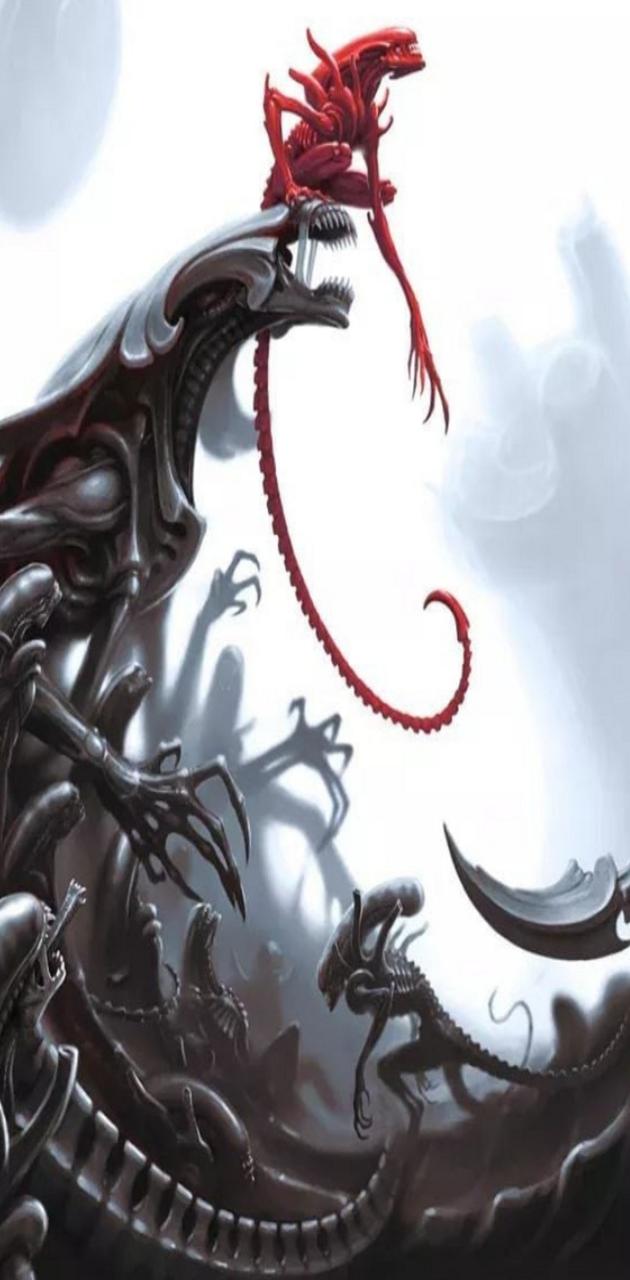 Xenomorfos wallpaper