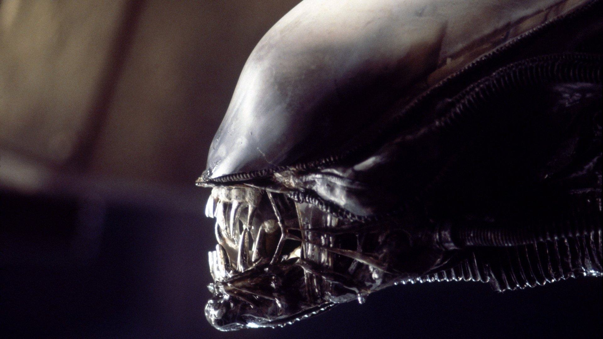 Alien': Every Stage in the Xenomorph's Gruesome Life Cycle